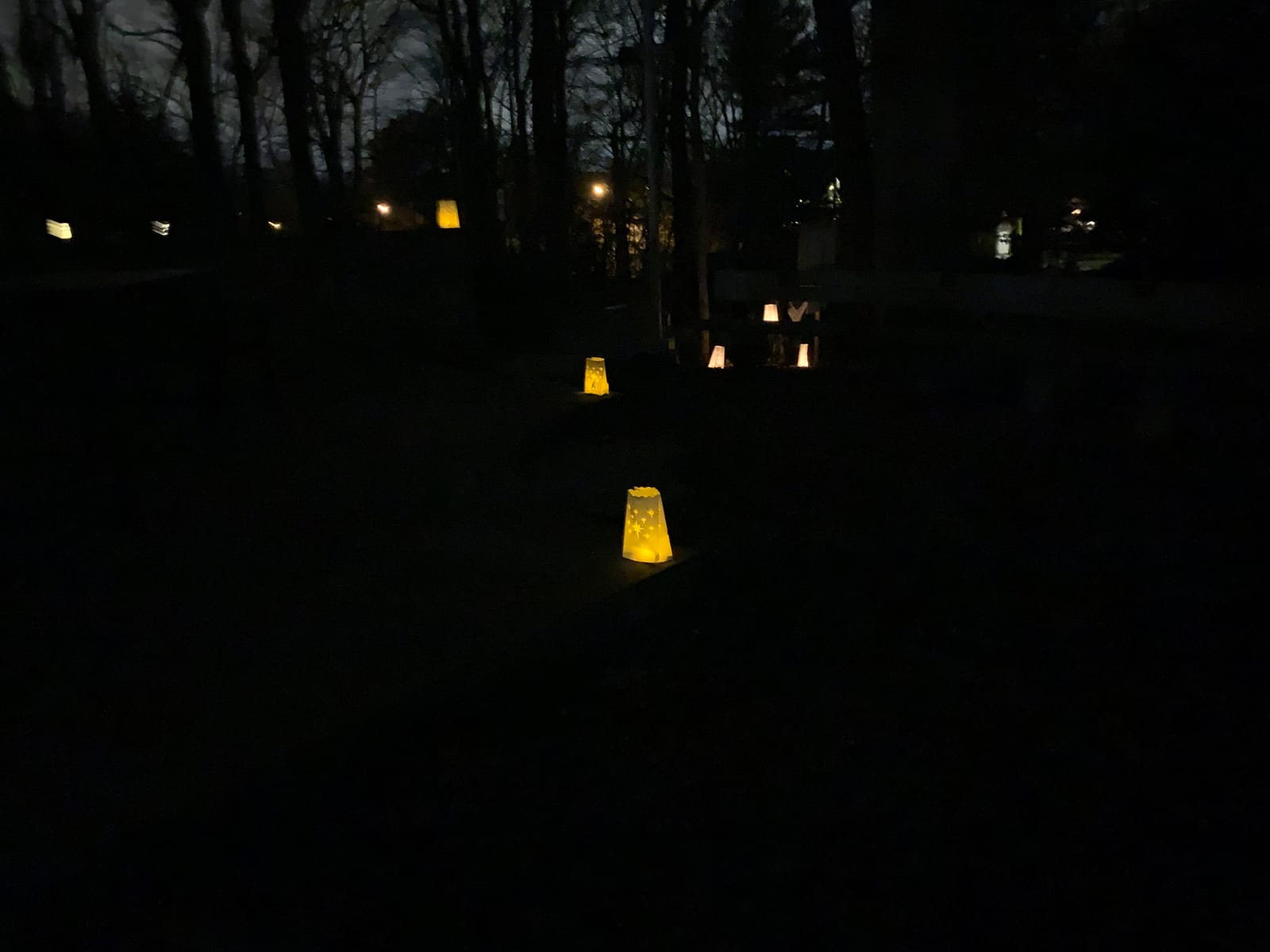 ANZOME Flameless Tea Lights with 30 Luminary Bags, LED Battery, 30 Pack customer photo 2
