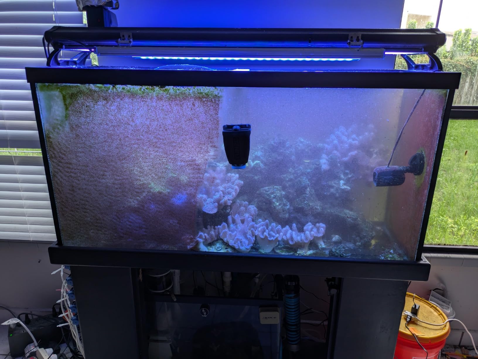 TUNZE Care Magnet Long, Aquarium Cleaner for 10-15 mm Glass Thickness, Slim Windscreen Cleaner with Rounded Stainless Steel Blade, Algae Magnet with Highly Minimised Risk of Scratching, Aquarium Glass customer photo 1