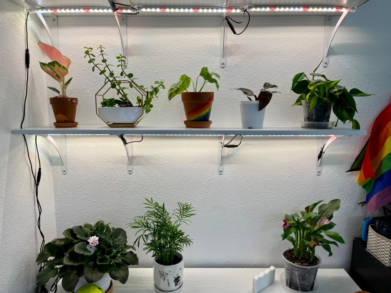LED Plant Grow Lights Strips for Indoor Plants Full Spectrum with Auto ON & Off Timer, T5 Sunlike Grow Lights Bar Growing Lamps for Greenhouse Shelves Hydroponics Succulent, 4 Dimmable Levels customer photo 1