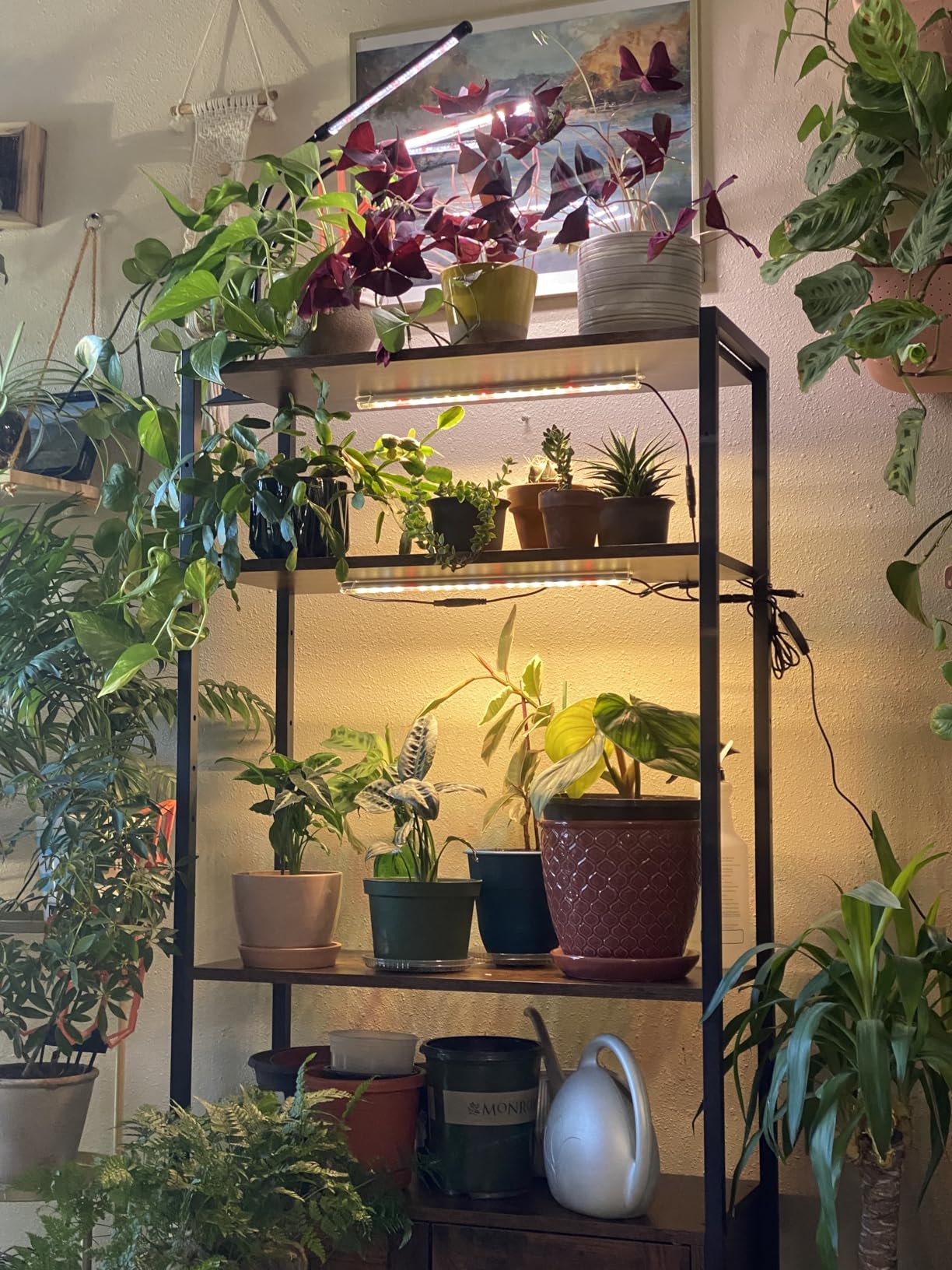 LED Plant Grow Lights Strips for Indoor Plants Full Spectrum with Auto ON & Off Timer, T5 Sunlike Grow Lights Bar Growing Lamps for Greenhouse Shelves Hydroponics Succulent, 4 Dimmable Levels customer photo 2