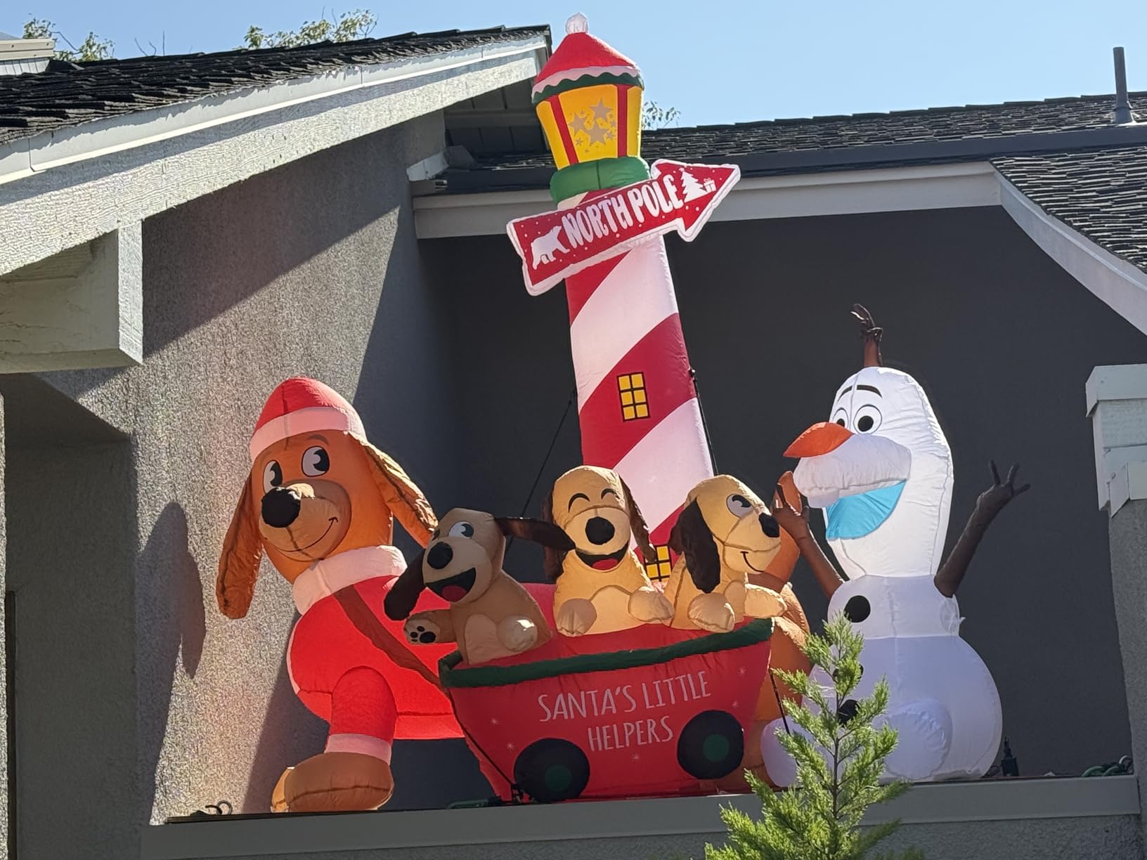 Joiedomi 5 FT Long Christmas Puppy Inflatable with Built-in LEDs, Self-Inflatable for Dachshund Blow Up Yard Decoration Xmas Party Indoor, Outdoor Yard Garden, Lawn Winter Décor customer photo 1