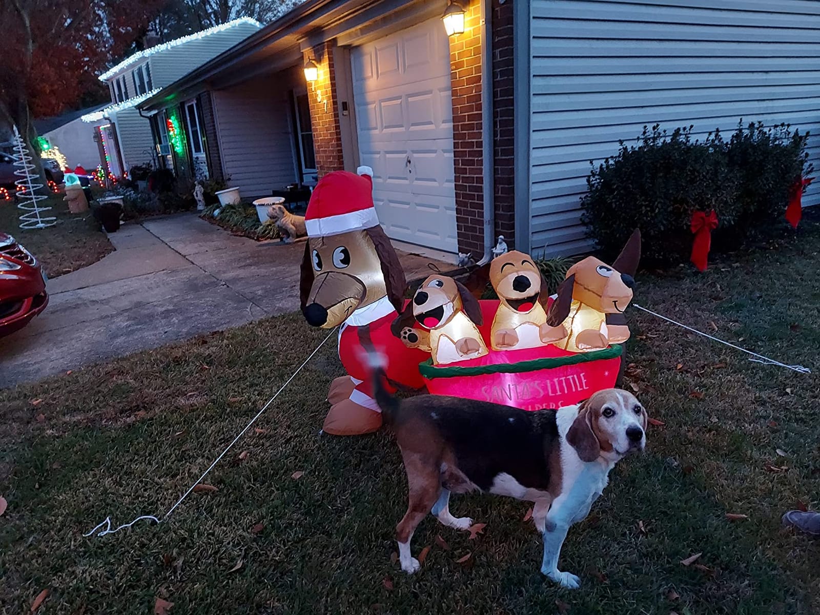 Joiedomi 5 FT Long Christmas Puppy Inflatable with Built-in LEDs, Self-Inflatable for Dachshund Blow Up Yard Decoration Xmas Party Indoor, Outdoor Yard Garden, Lawn Winter Décor customer photo 2