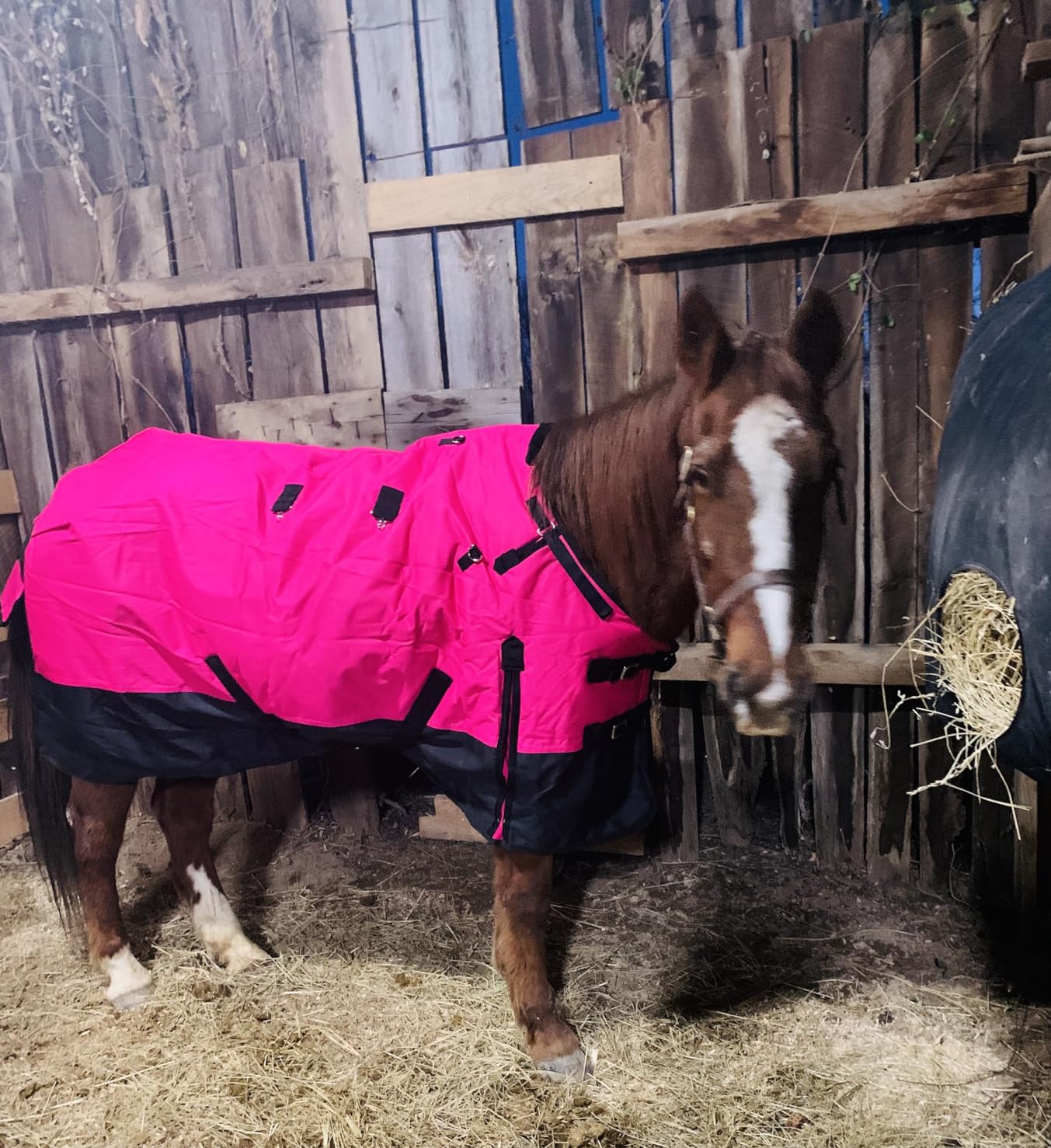 Black 78 in HILASON 1200D Winter Waterproof Turnout Blanket customer photo 2