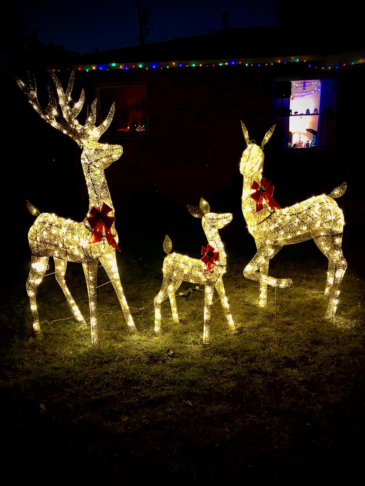 Best Choice Products 3-Piece Large Lighted Christmas Deer Family Set 5Ft Outdoor Yard Decoration with 360 LED Lights, Stakes, Zip Ties - Gold customer photo 1