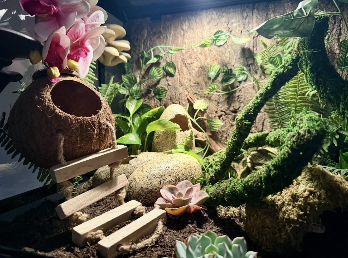 REPTI ZOO 50 Gallon Reptile Glass Tank Terrarium 2 in 1 Side Meshes and Side Glasses Double Hinge Door with Screen Ventilation Tempered Glass 36