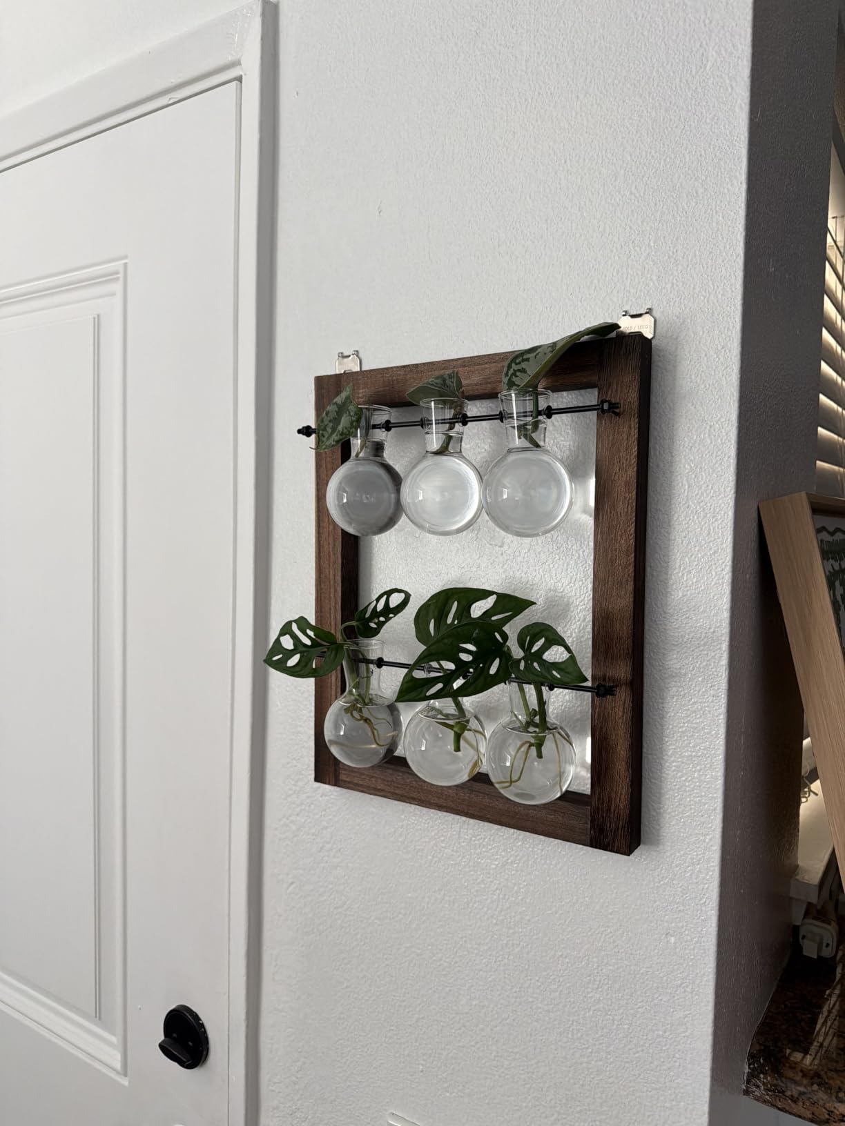 Mkono Plant Propagation Station, Wall Hanging 2-Layer Glass Terrarium Vases customer photo 1