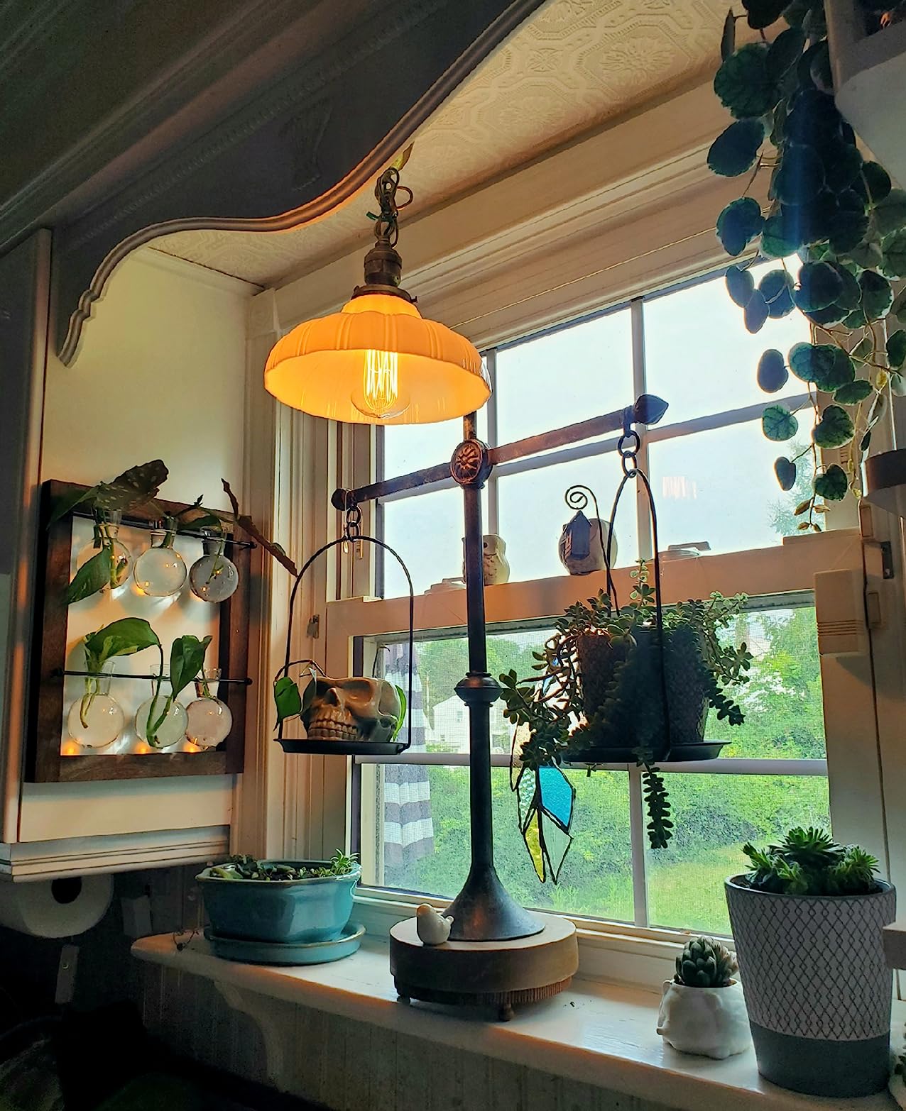 Mkono Plant Propagation Station, Wall Hanging 2-Layer Glass Terrarium Vases customer photo 2