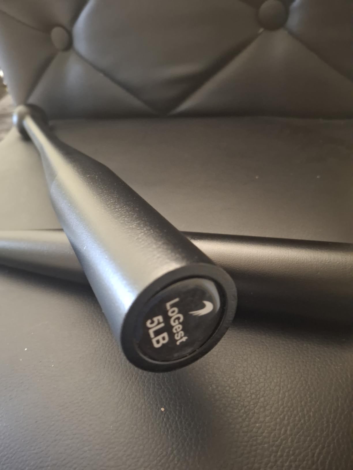 Logest Steel Mace Exercise Club - Heavy Duty Steel Indian Clubs Perfect for Strength Training and Rehabilitation Improves Grip and Full Body Workouts Available in 5 10 15 20 25 30 Pounds customer photo 1