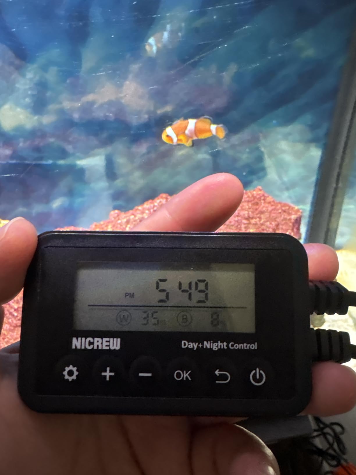 NICREW ClassicLED Marine Saltwater Aquarium Light, 48W for 48–60 inch Tanks customer photo 2
