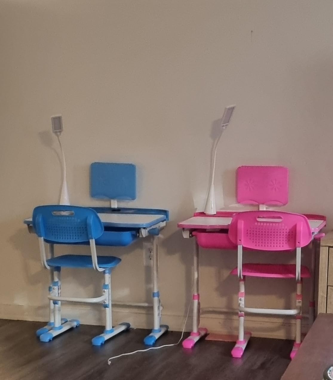Cantonape Kids Desk and Chair Set Children School Study Desk for Boys Girls | Height Adjustable Desk with Tilt Desktop, Bookstand, LED Lamp, Metal Hook and Storage Drawer, Gray customer photo 1