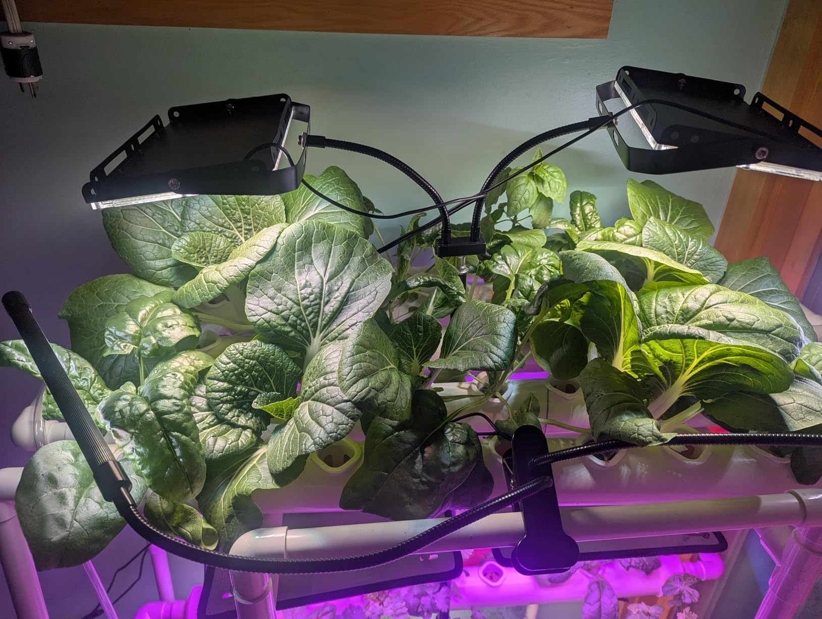 Hydroponics Growing System Kit 36 Plant Sites Food-Grade PVC-U Pipes Hydroponic Grow Kit Gardening System for Vegetables,Fruits,Herb customer photo 1