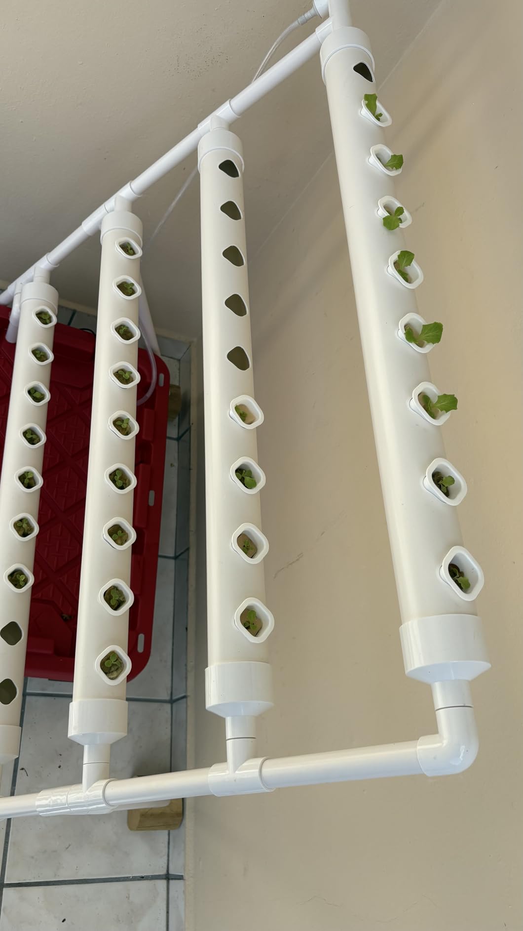 Hydroponics Growing System Kit 36 Plant Sites Food-Grade PVC-U Pipes Hydroponic Grow Kit Gardening System for Vegetables,Fruits,Herb customer photo 2