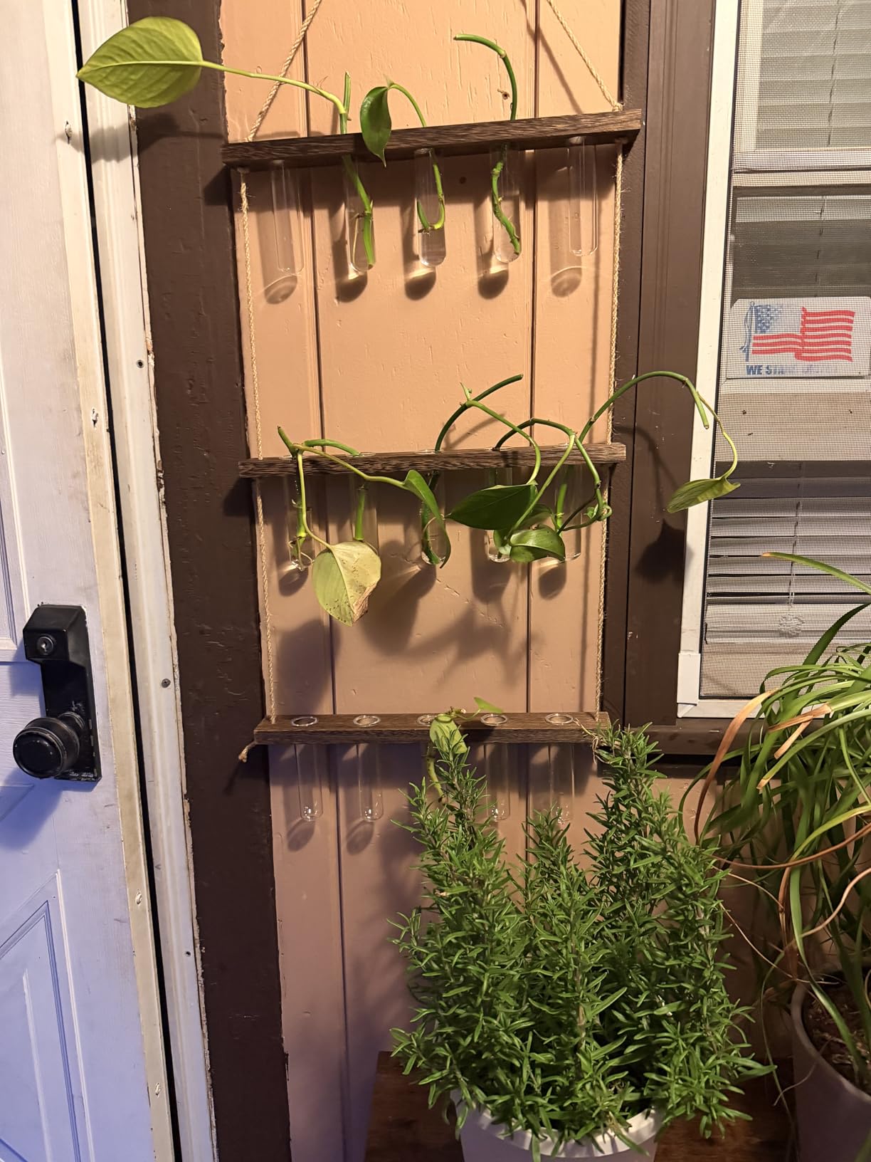 Mkono Plant Propagation Station, 3 Tier Brown Wall Hanging Vase Test Tubes customer photo 1