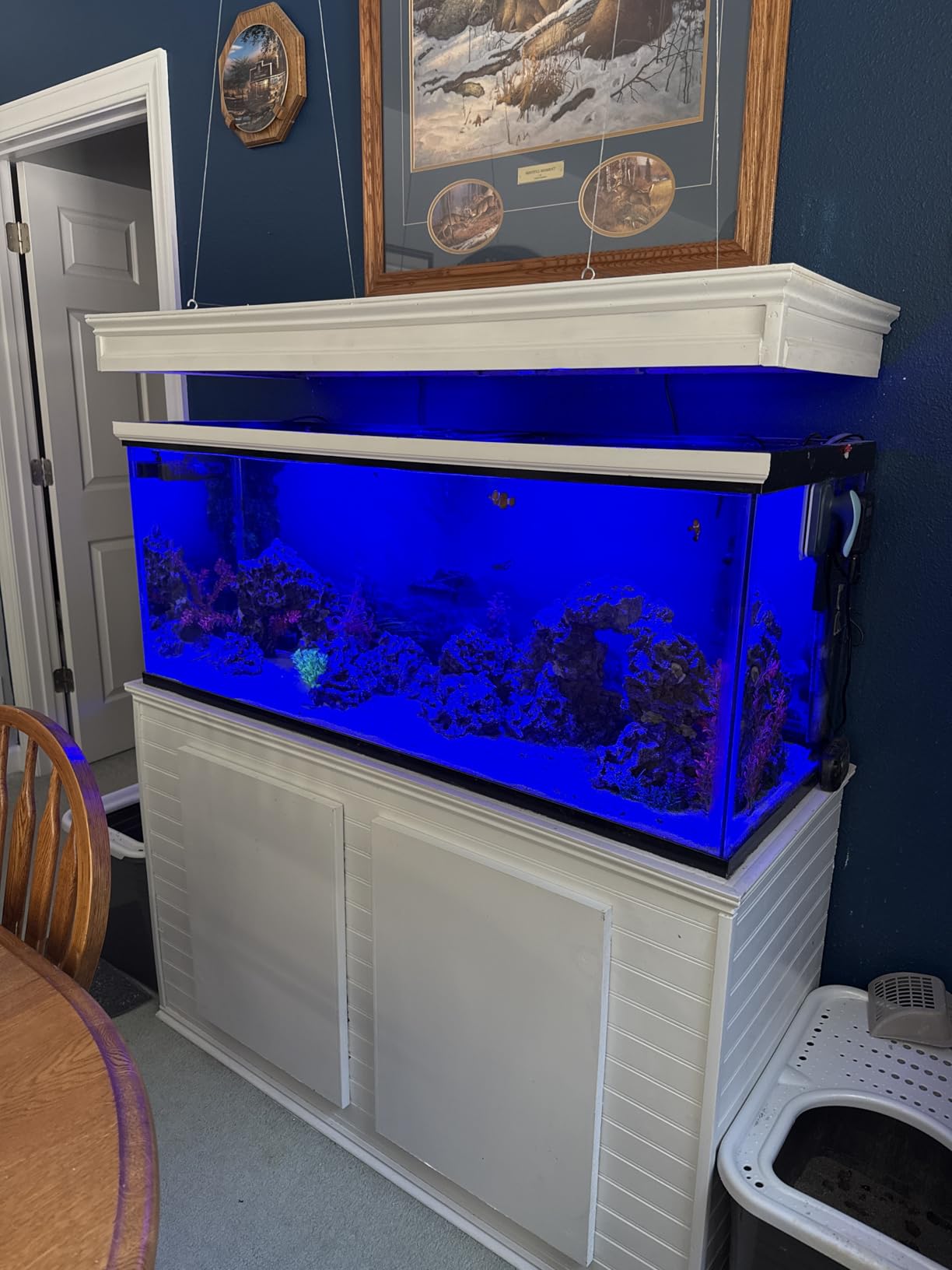 Aquarium Light - 95 Watt Sunrise Sunset Moonlight, Group Control Program Coral Reef Light Dimmable Full Spectrum for Marine Tanks,Saltwater Tank Light with Timer (Brackets) customer photo 1