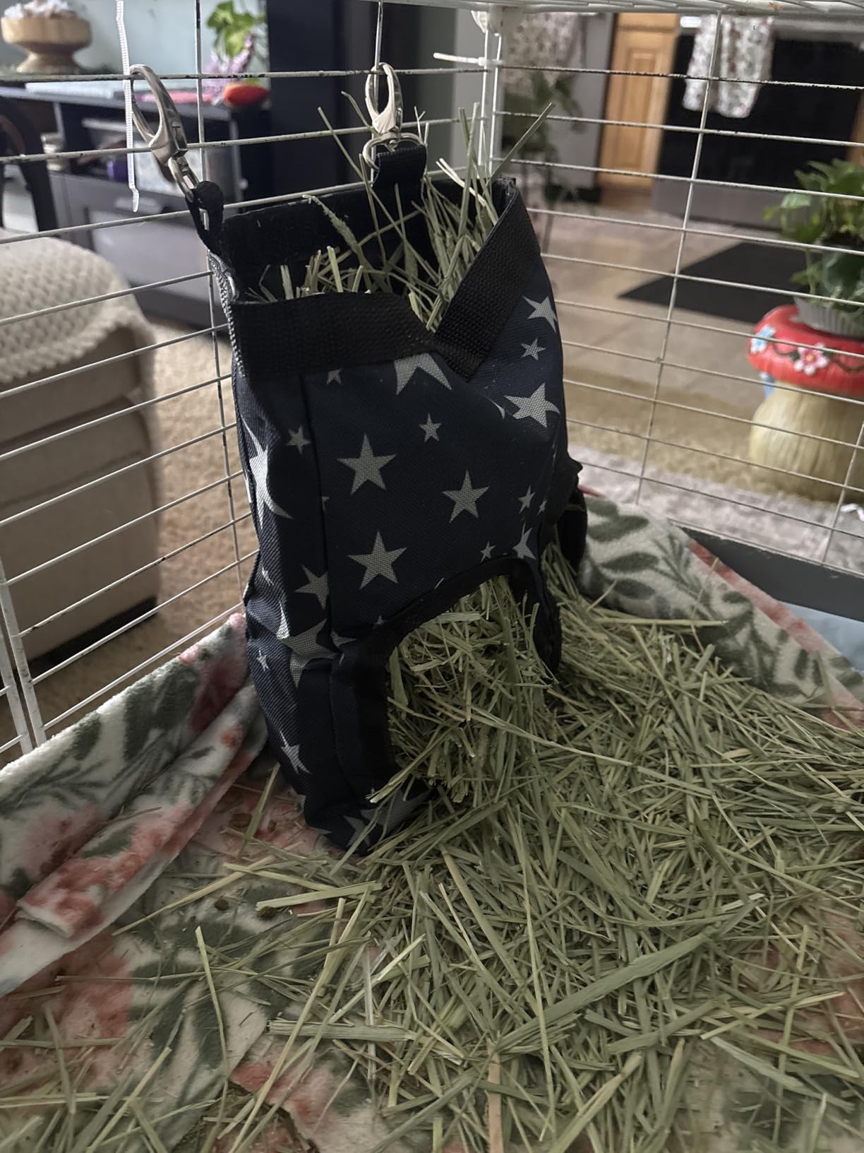 RIOUSSI Guinea Pig Hay Feeder, Hanging Rabbit Hay Feeder Bag. Stars customer photo 1