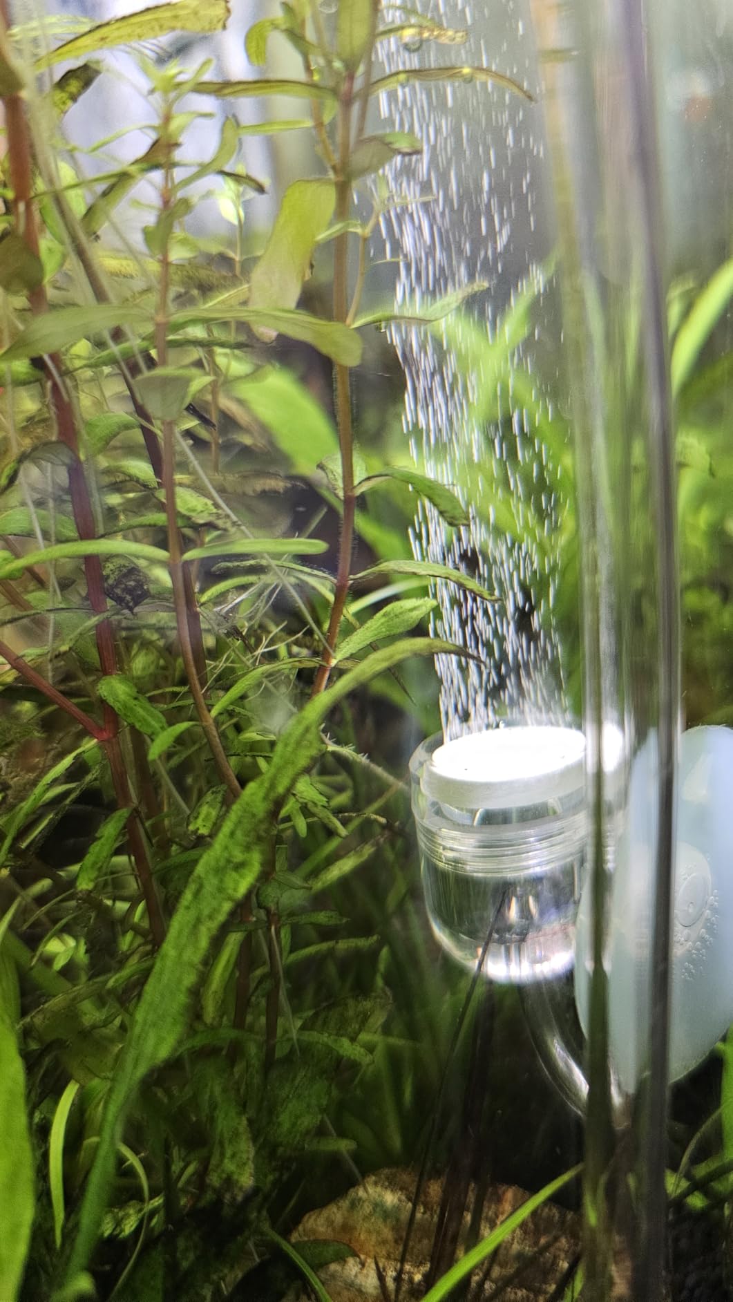 Aquarium CO2 Generator Double Runtime with Solenoid Valve 4L, G700S customer photo 1