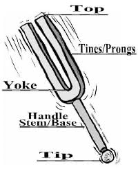 LOTS OF ZEN Tuning Forks for Healing Set (128Hz, 256Hz, 512Hz) customer photo 1
