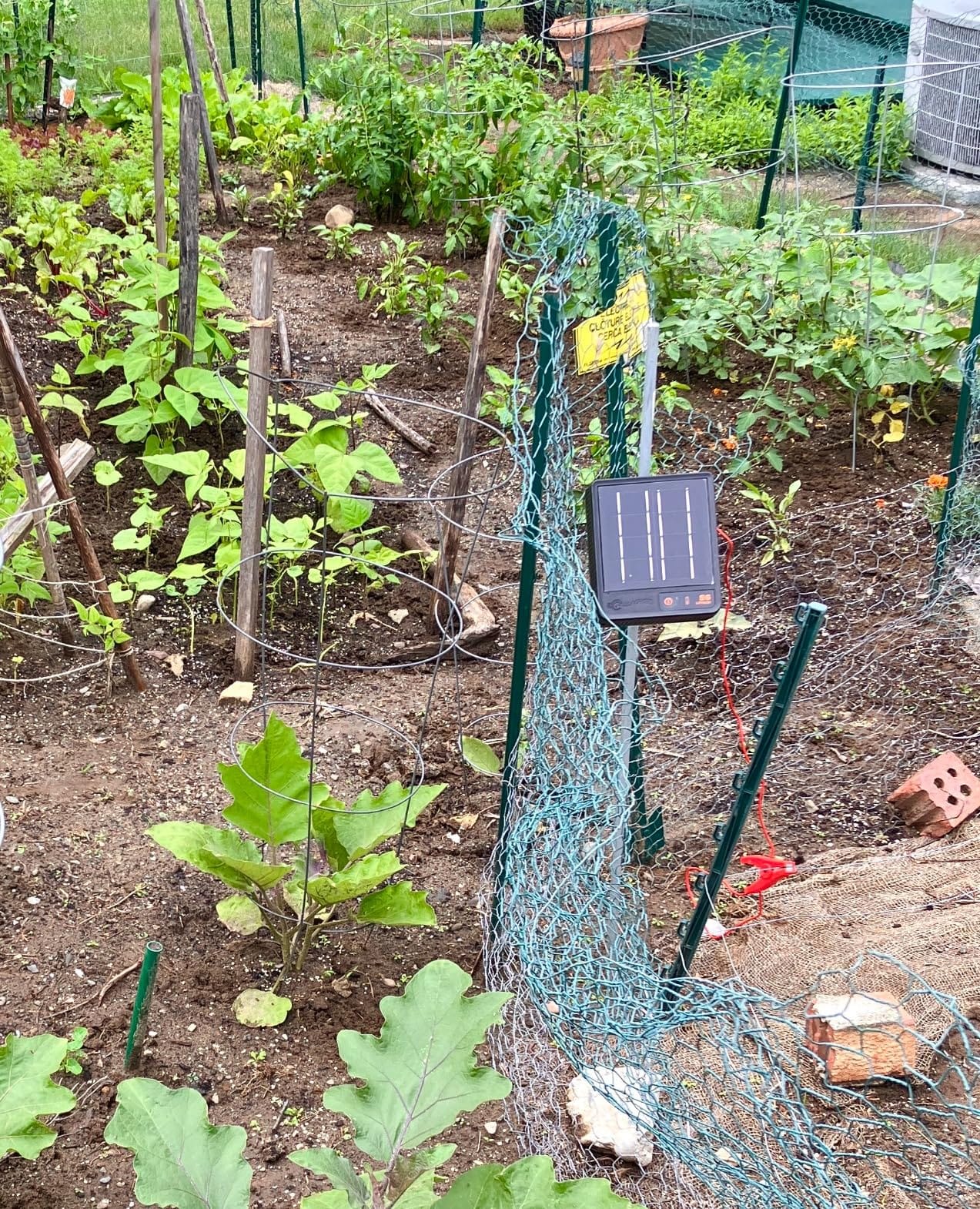 Gallagher S6 Solar Electric Fence Charger | Solar Fence Energizer for Gardens, Chickens, Goats, and Pets | Solar-Powered Fence Charger with Lithium Battery | Mounts Directly to Grounding Rod customer photo 1