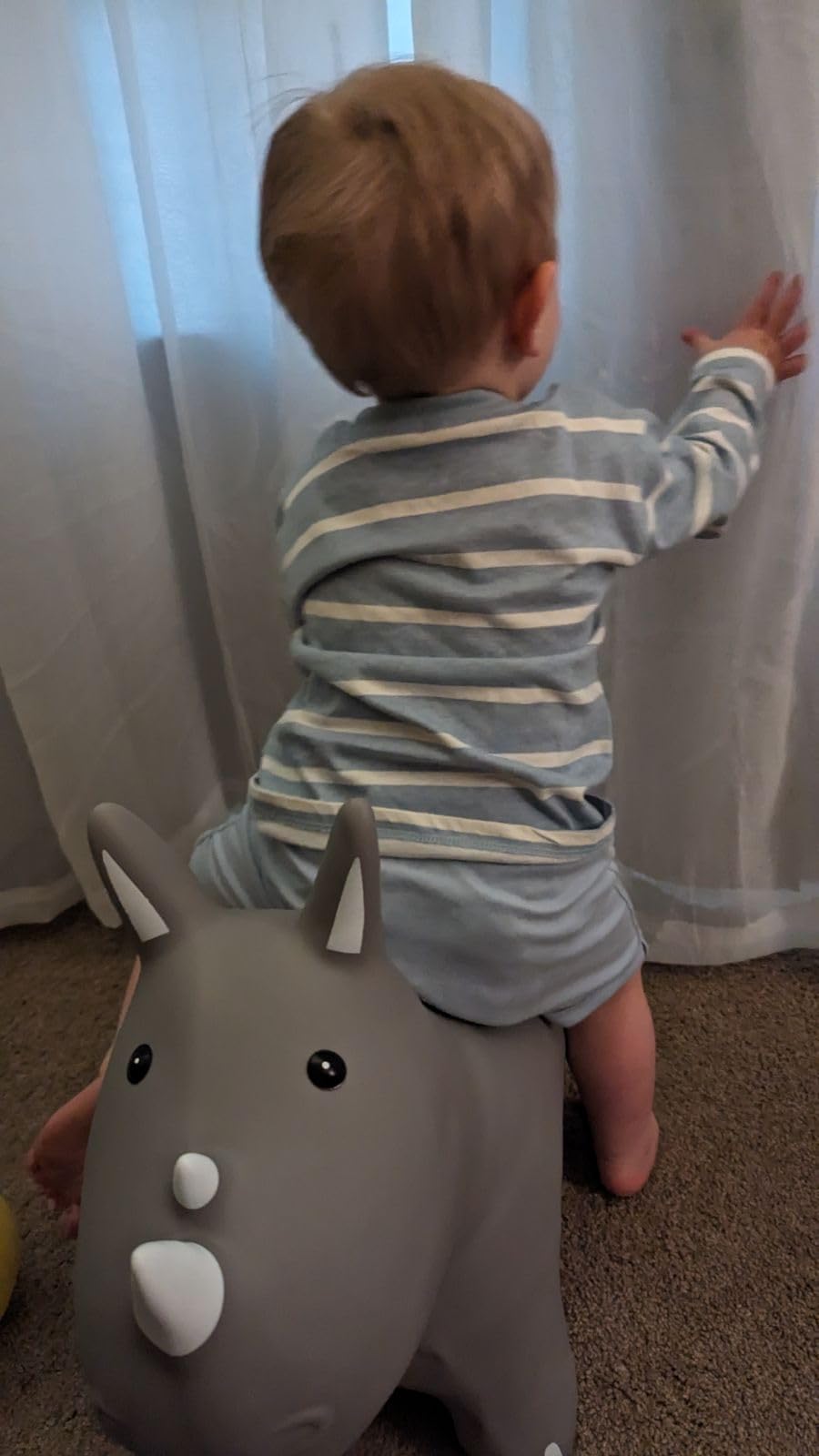 Inflatable Horse Hopping Toy, Ride-on Bouncy Animal for Toddler 18M+ | Horse Toys for Boys and Girls, Indoor & Outdoor Bounce Toys for 2 Year Old Kids, Birthday Gifts for 2 3 4 5 6 Yrs with Pump customer photo 1