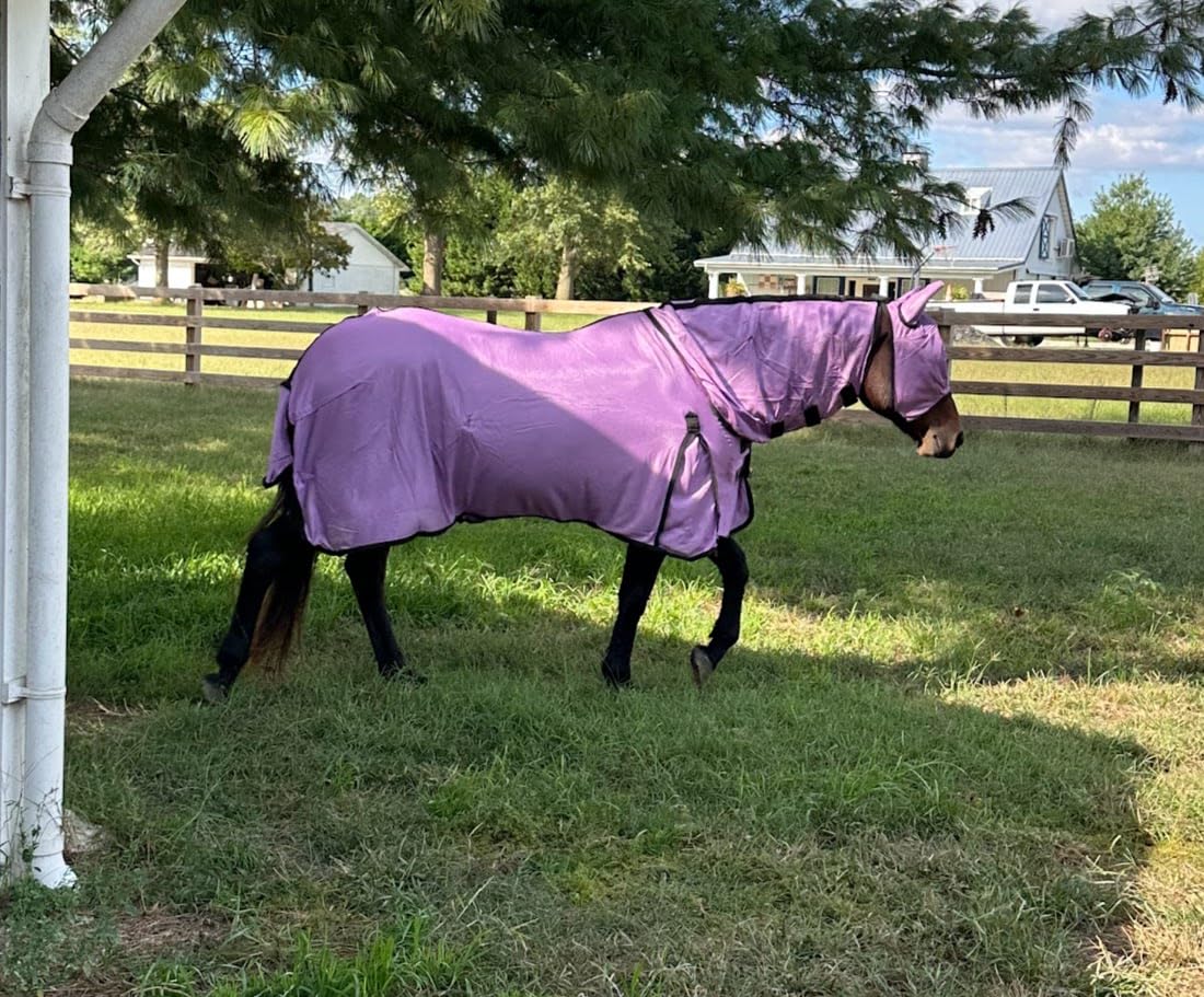 Soft Mesh Fly Sheet with Leg Straps customer photo 2