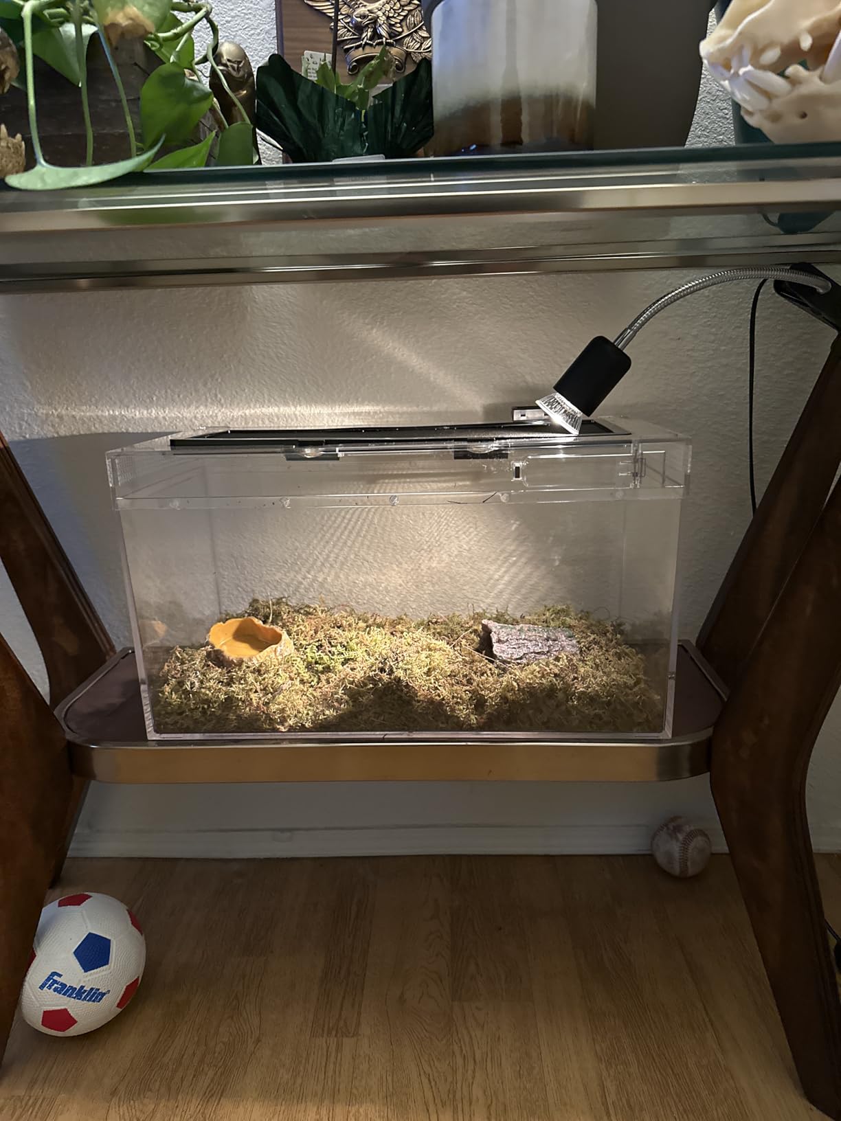 HELIME Reptile Tank 7 Piece Starter Kit with Escape Proof Locking Lid Small customer photo 2