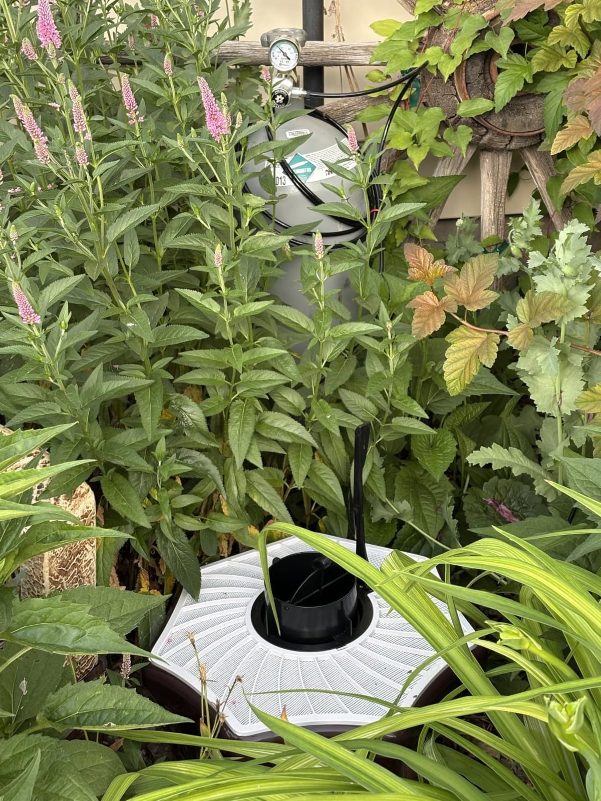 Biogents Mosquitaire Outdoor Trap with CO₂ Booster for Biting Mosquitoes customer photo 2
