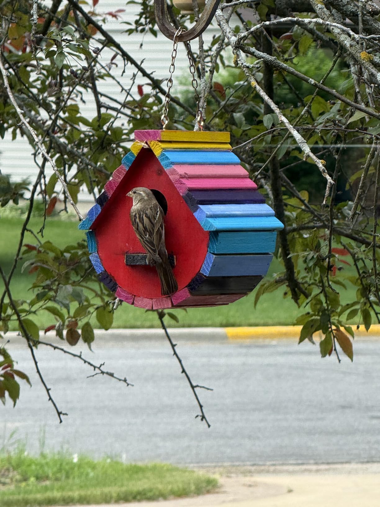 Bird House for Outside, Wood Birdhouses Outdoor, Wooden Bird House Bluebird Finch Cardinals Hanging Birdhouse for Garden Viewing customer photo 2