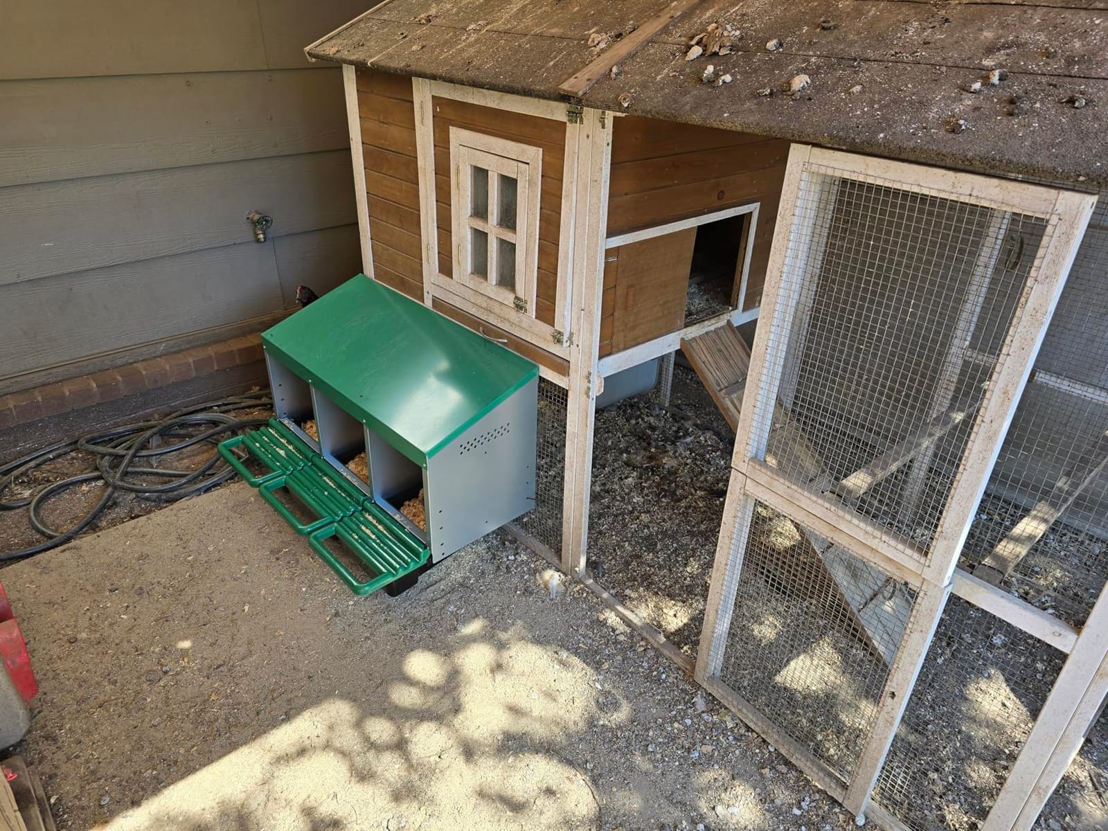 Homestead Essentials Classic Style 2 Compartment, Forward Rollout and Rollaway, Hen & Chicken Nesting Box with Integrated Perch and Protective Egg Laying Collection Lids customer photo 2