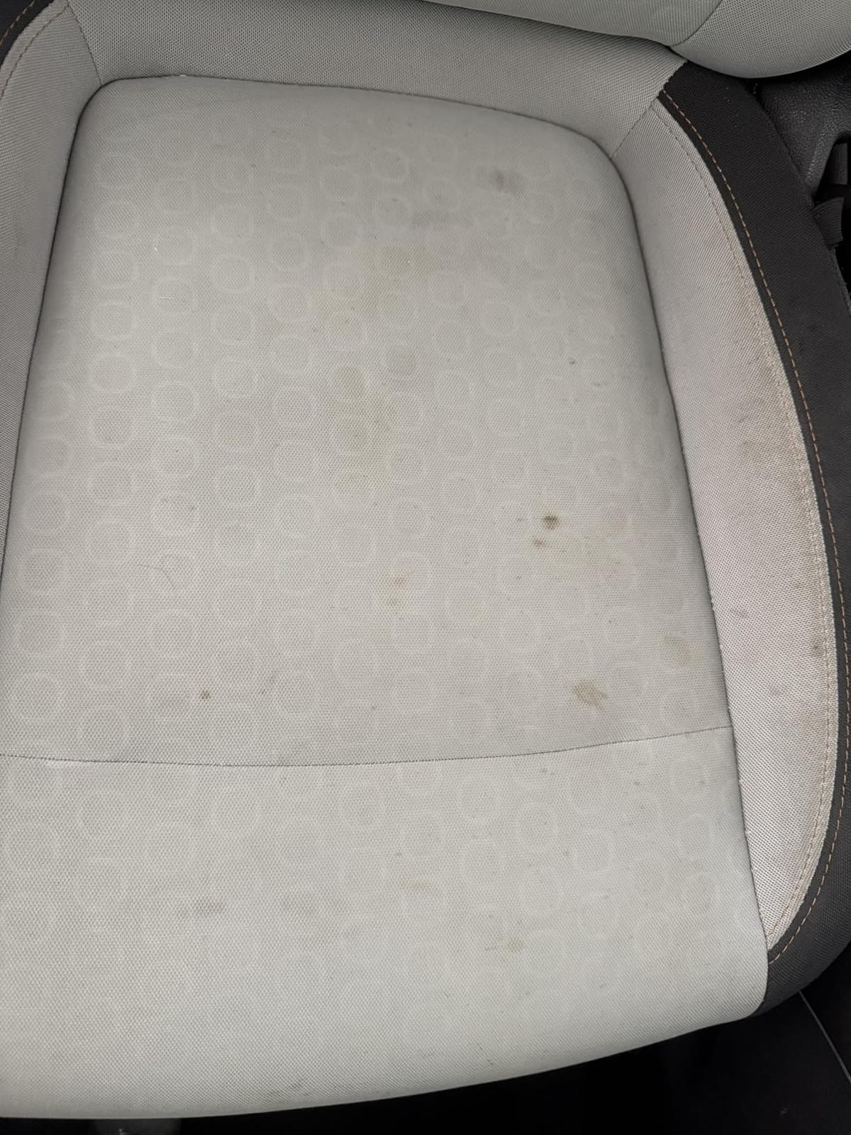 Relentless Drive Car Carpet & Upholstery Cleaner Kit – Seat Cleaner customer photo 1