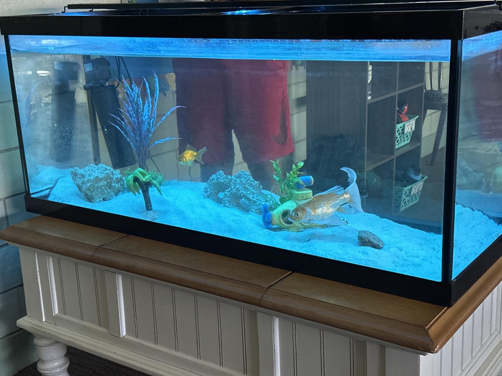 hygger Auto On Off LED Aquarium Light, Full Spectrum Fish Tank Light with LCD Monitor, 24/7 Lighting Cycle, 7 Colors, Adjustable Timer, IP68 Waterproof, 3 Modes for 12