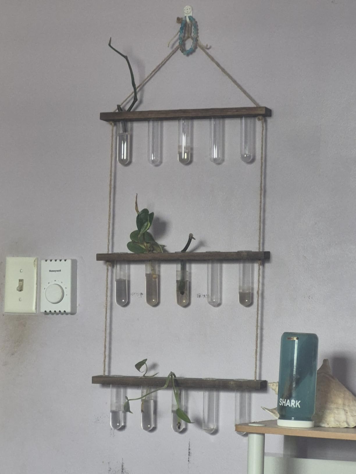 3 Tier Wall Hanging Propagation Stations with 15 Glass Test Tubes, Plant Terrarium Propagation Tubes Planter for Hydroponic Cuttings, Window Decor Gift for Plant Lovers customer photo 1