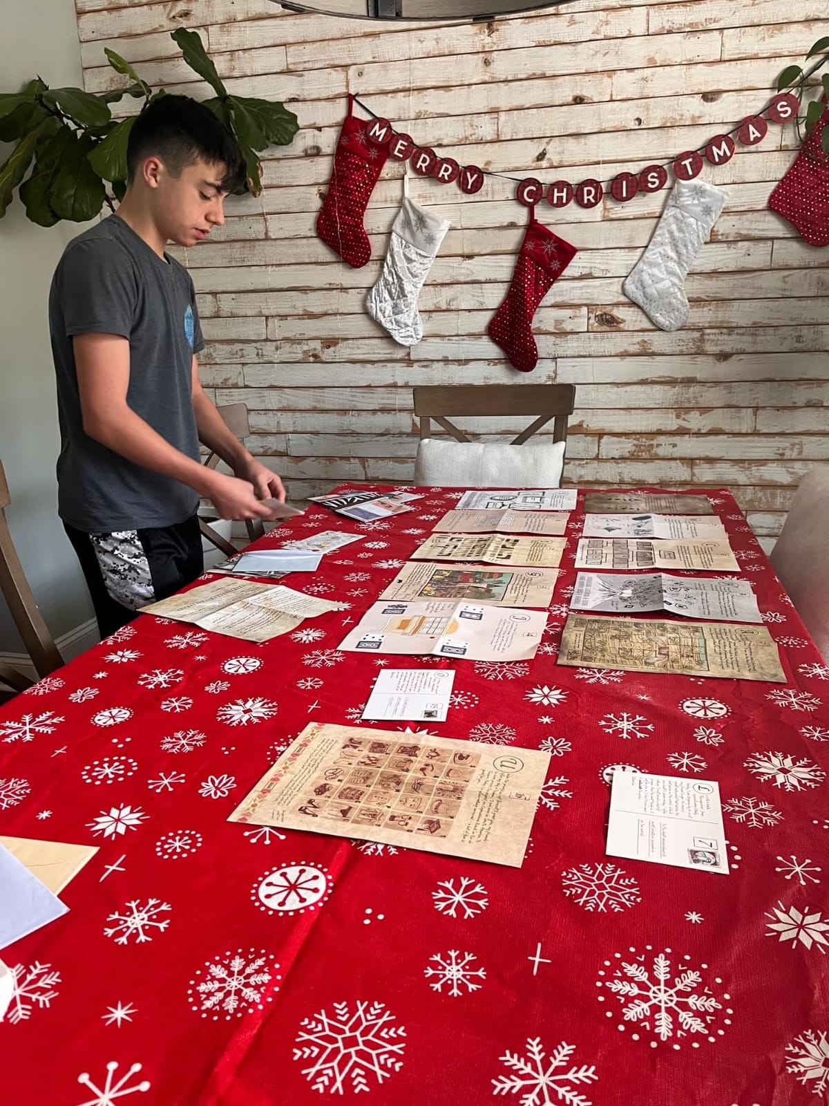 Hidden Games – Professor Charlie's World Tour – Puzzle Advent Calendar customer photo 2