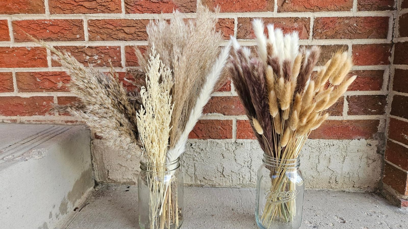 96PCS Natural Dried Pampas Grass Boho Home Decor Bouquet Phragmites Dried Flowers Bouquet for Wedding Floral Arrangements Living Room Decorations (96PCS) customer photo 2