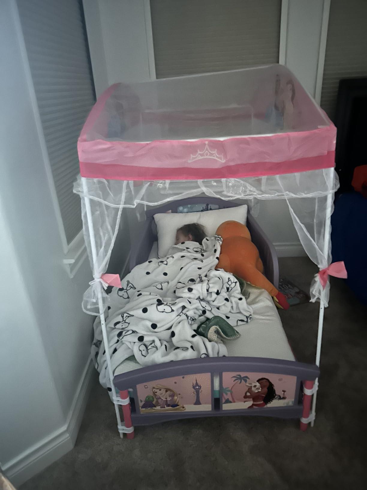 Delta Children Canopy Toddler Bed, Disney Princess customer photo 2