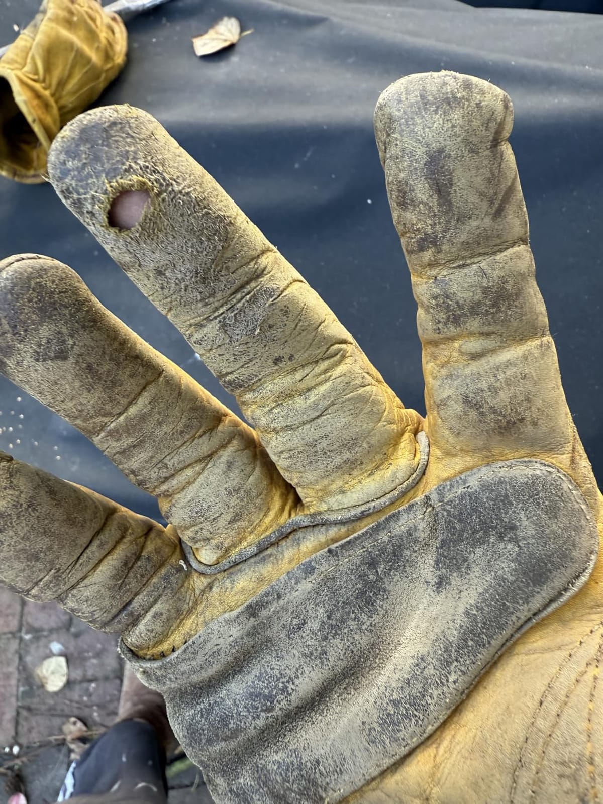 Leather Work Gloves for Men & Women, Reinforced Durable Gardening Gloves,Cowhide Work Gloves,Puncture & Cut Resistant customer photo 1