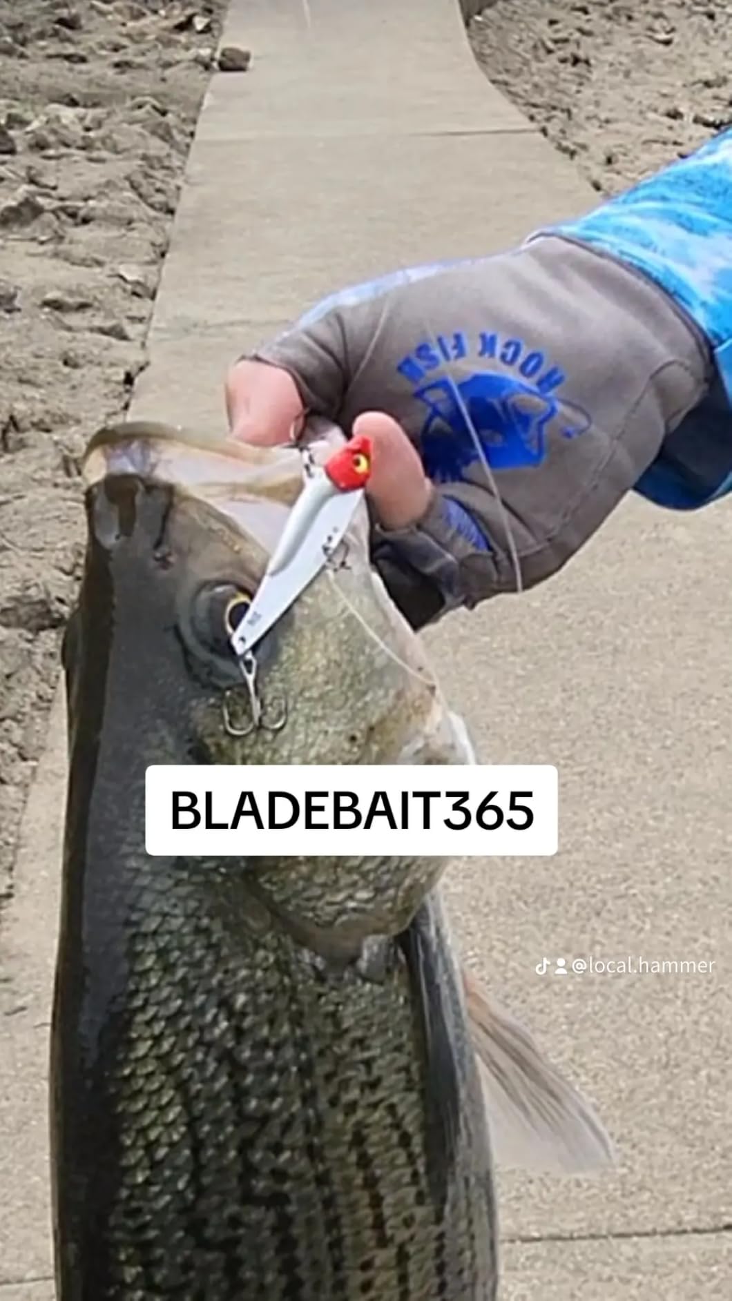 Blade Bait Bass Fishing Lures, Blade Baits for Walleyes, Metal VIB Lure, 6pcs 20g Sinking Jigging Spoons Hard Swimbait - 2.75in customer photo 2