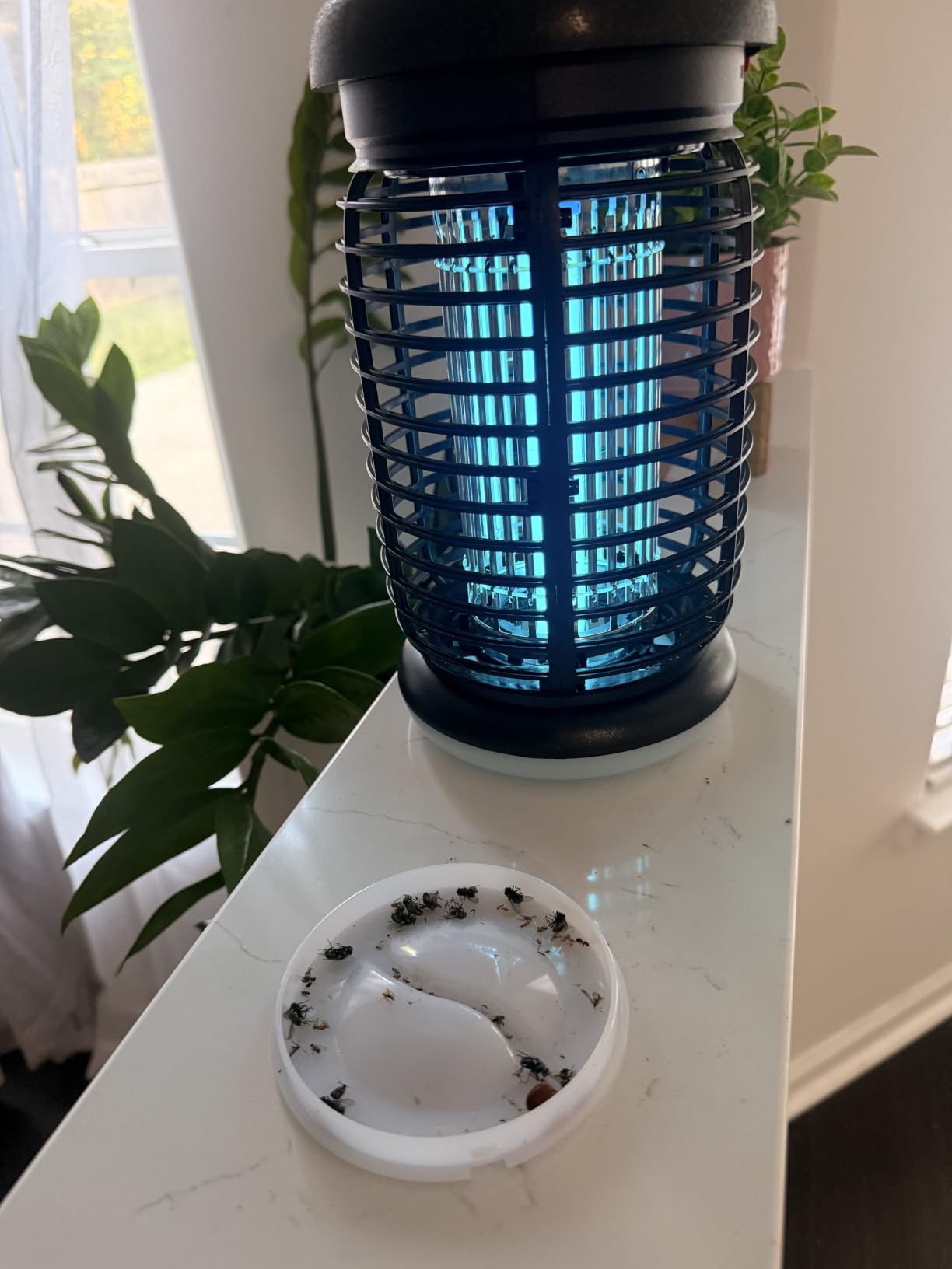 LUOJIBIE Bug Zapper Outdoor, Electric Mosquito Killer Fly Trap with UV/LED Light, 4200V High Voltage Waterproof Flying Insect Zapper for Backyard Patio, Indoor Mosquito Zapper for Home Garage customer photo 1