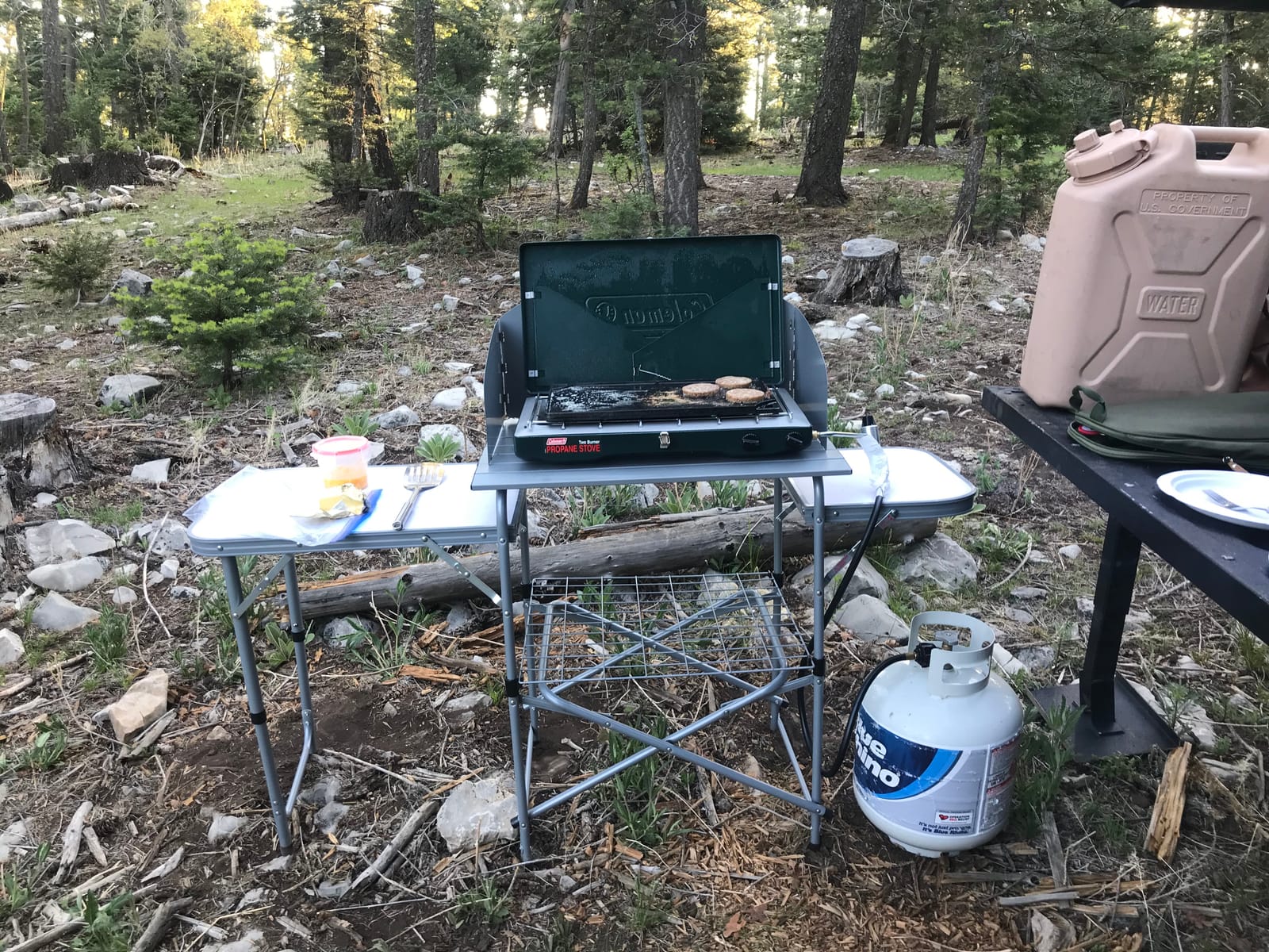 Giantex Folding Grill Table with 26'' Tabletop and Detachable Windscreen, Aluminum Portable Camp Cook Station Carry Bag Quick Set-up, BBQ Camping Picnic Backyard Outdoor Camping Kitchen Table (Grey) customer photo 1