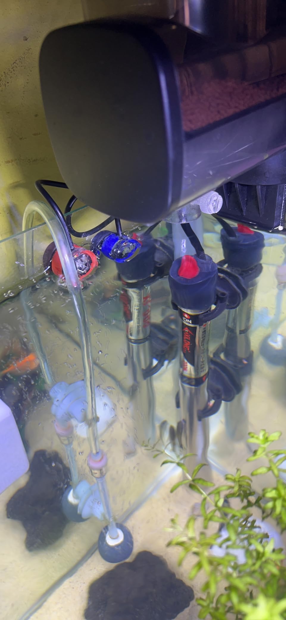 Kamoer New ATO One 2 SE Smart Auto Top Off System Silent Water Replenisher customer photo 1