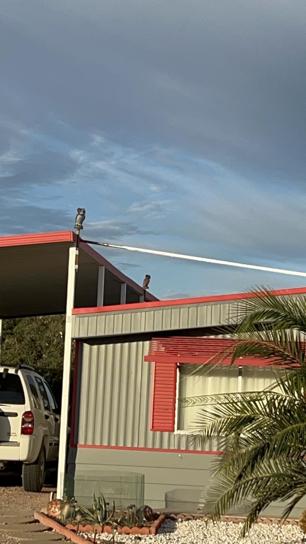 Hausse 2 Pack Fake Owl Decoys to Scare Birds Away, Rotating Head Plastic Owl Bird Deterrents, 10.6 Inch Height Bird Scarecrow Nature Enemy Horned Pest Repellent for Outdoor Garden Yard customer photo 1