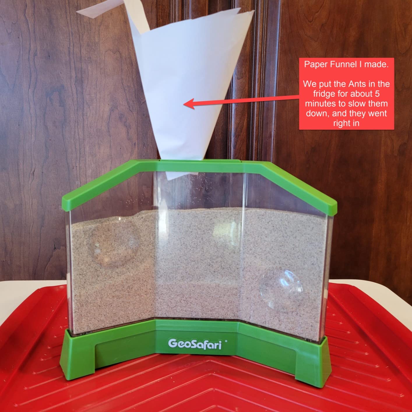 Educational Insights GeoSafari Ant Factory customer photo 1