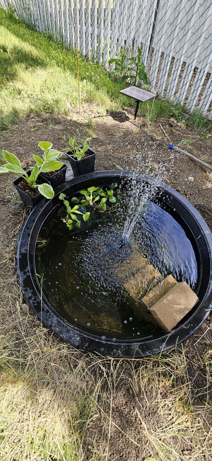 Biling Solar Pond Filter for Small Pond, 8W Solar Water Fountain with 3600mAh Battery, Clean Water Creat Water Features for Outdoor Pond Water Feature, Work Stable in Daytime customer photo 1
