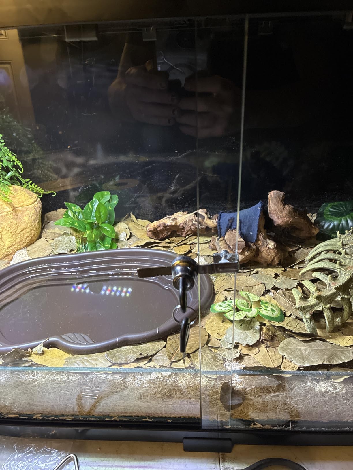 REPTI ZOO 50 Gallon Reptile Tank, 36