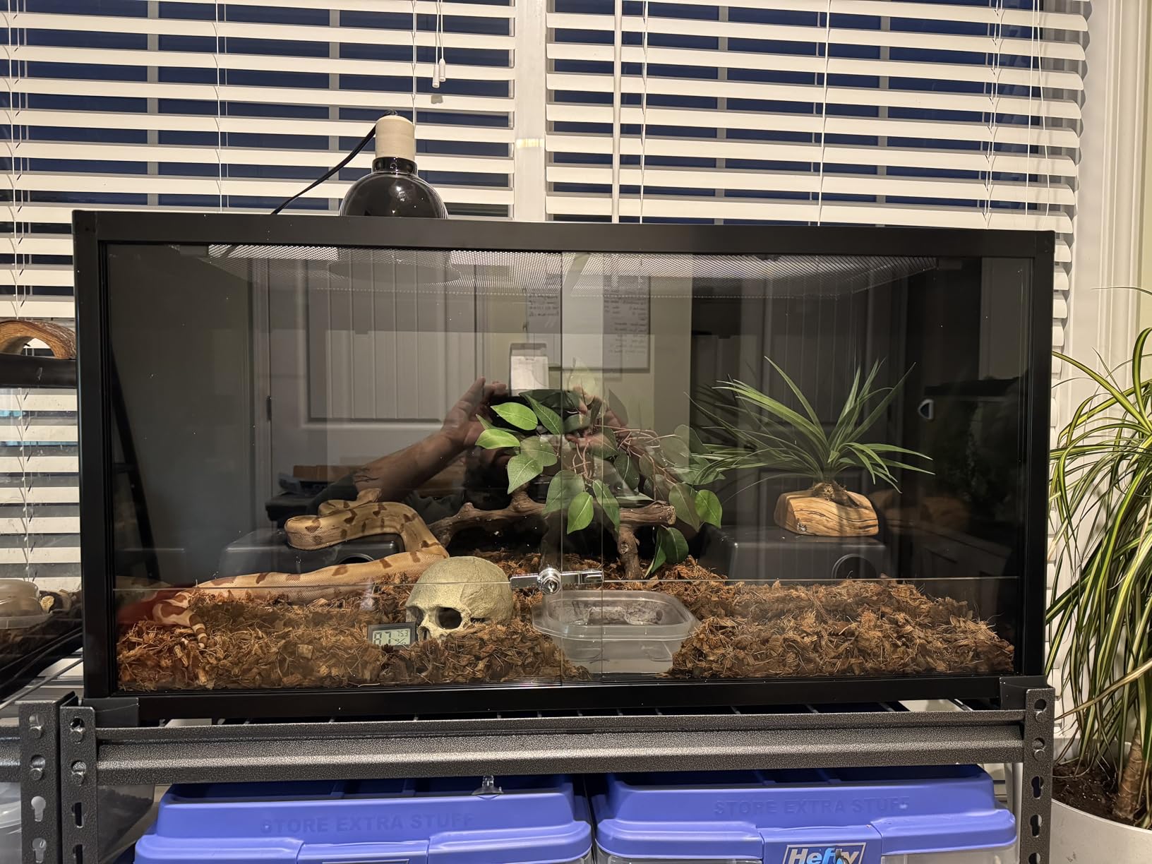 REPTI ZOO 50 Gallon Reptile Tank, 36