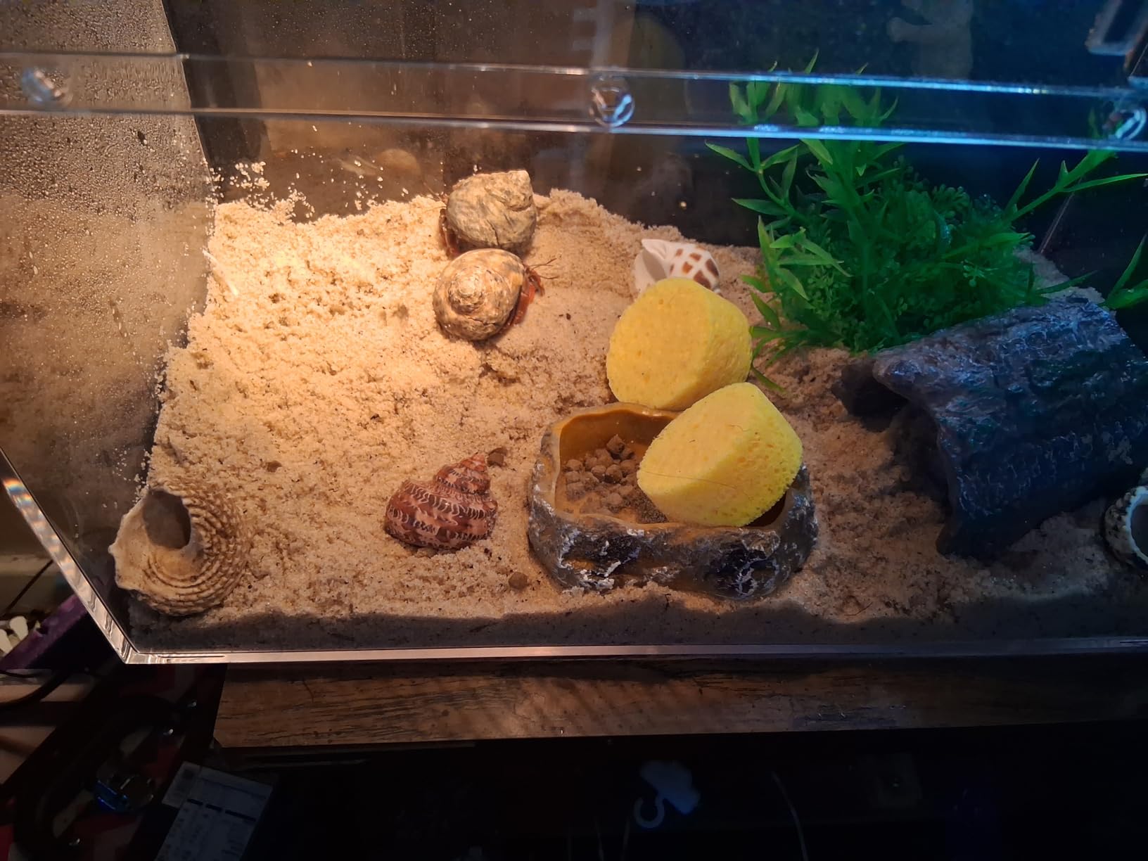 HELIME Reptile Tank 7 Piece Starter Kit with Escape Proof Locking Lid Large customer photo 1