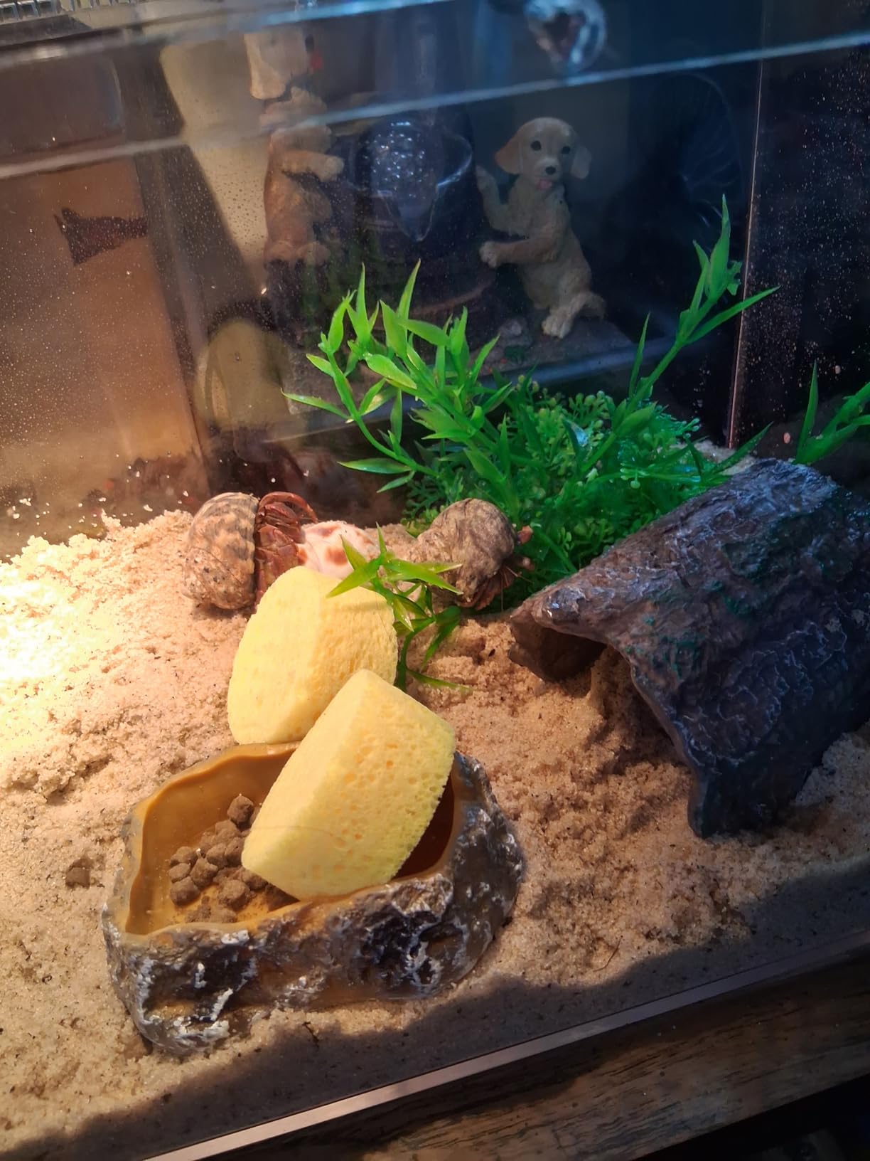 HELIME Reptile Tank 7 Piece Starter Kit with Escape Proof Locking Lid Large customer photo 2