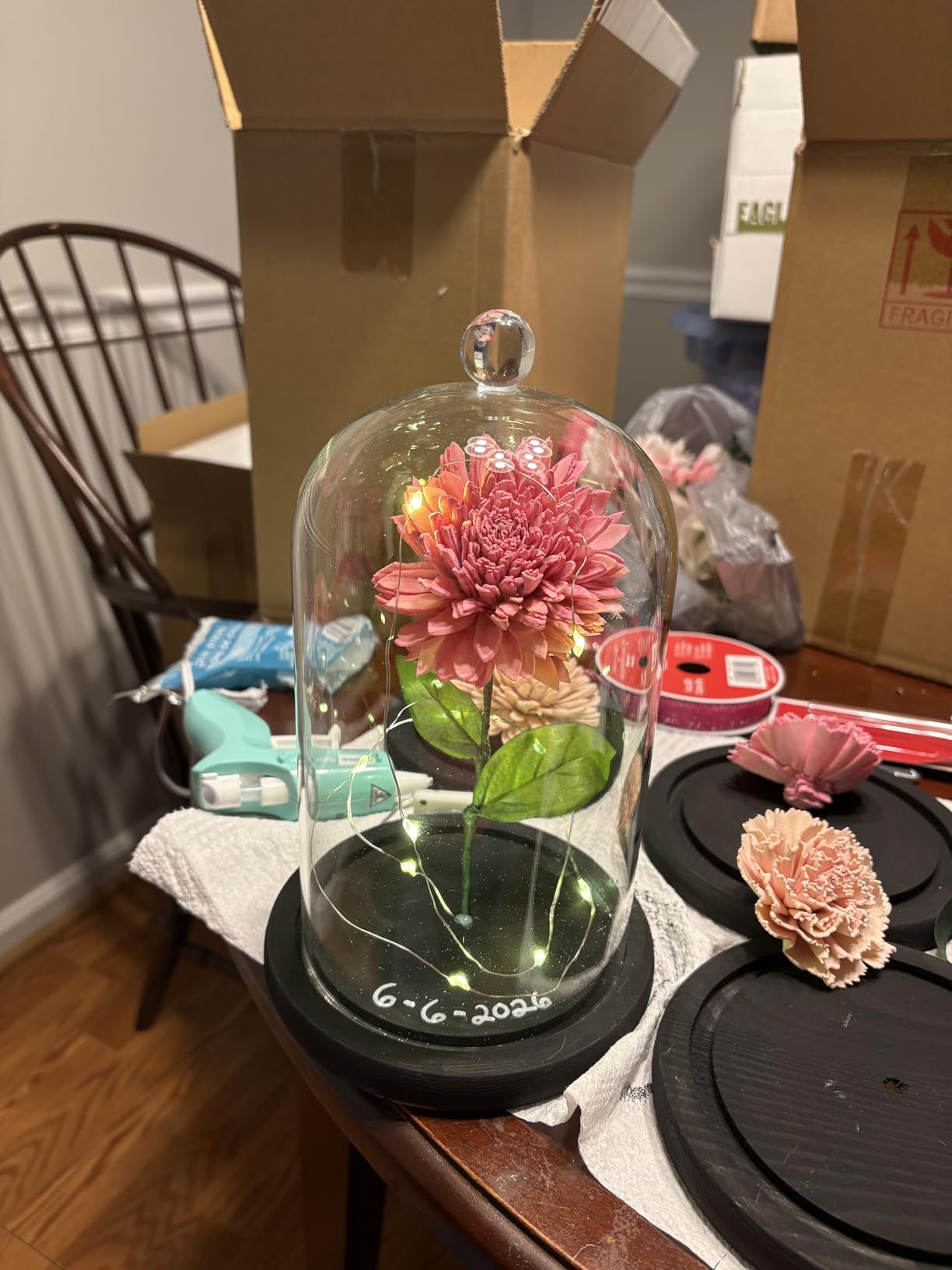 Lyellfe 2 Pack Cloche Glass Dome with Rustic Wooden Base | 8'' x 4.7'' Dome Cloche Glass Cloche Bell Jar Display for Plants, Fairy Lights or Table Decor customer photo 1