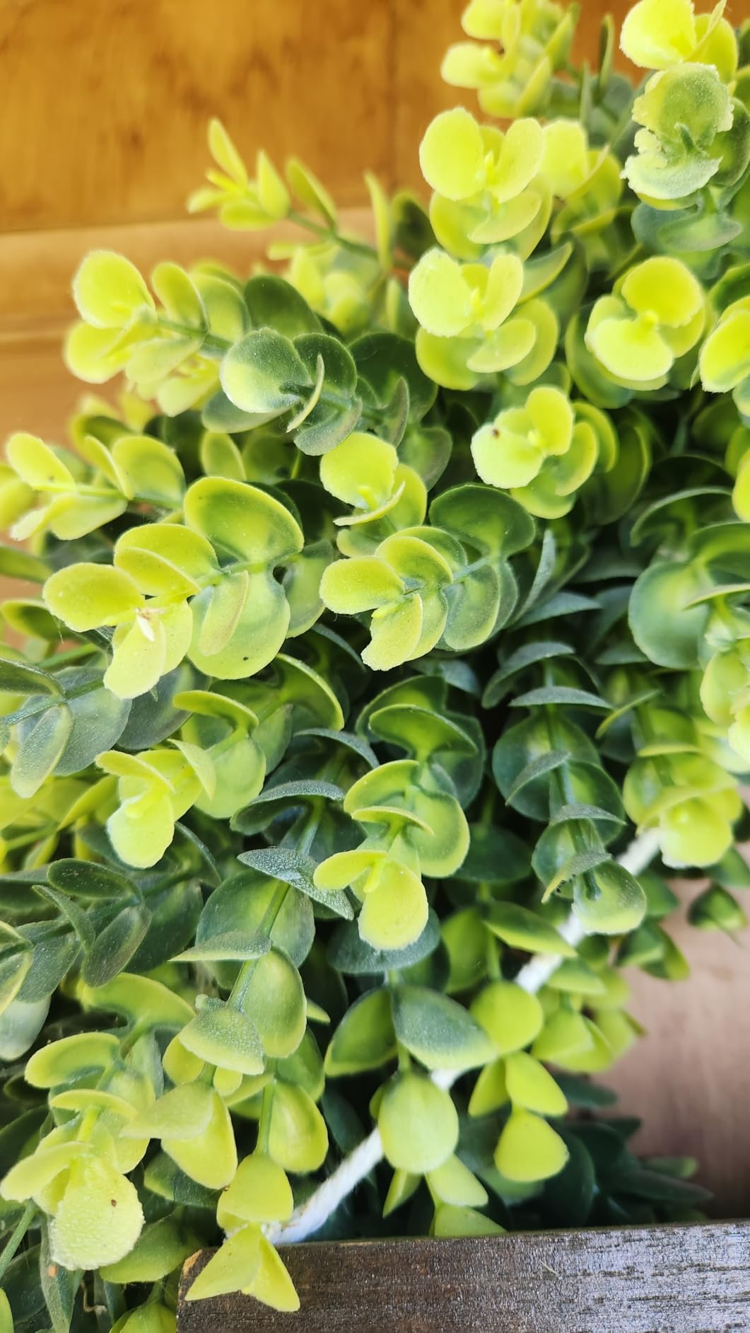 20” Wreaths for Front Door Spring Summer Green Boxwood Door Wreath for All Seasons Living Room Bedroom Window Wall Indoor Outdoor Farmhouse Easter St. Patrick's Independence Day Home Decoration customer photo 2