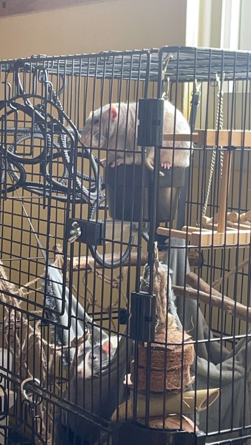 Homey Pet Rat Cage, Small Animal Cage for Ferret, Chinchilla, Guinea Pig customer photo 2