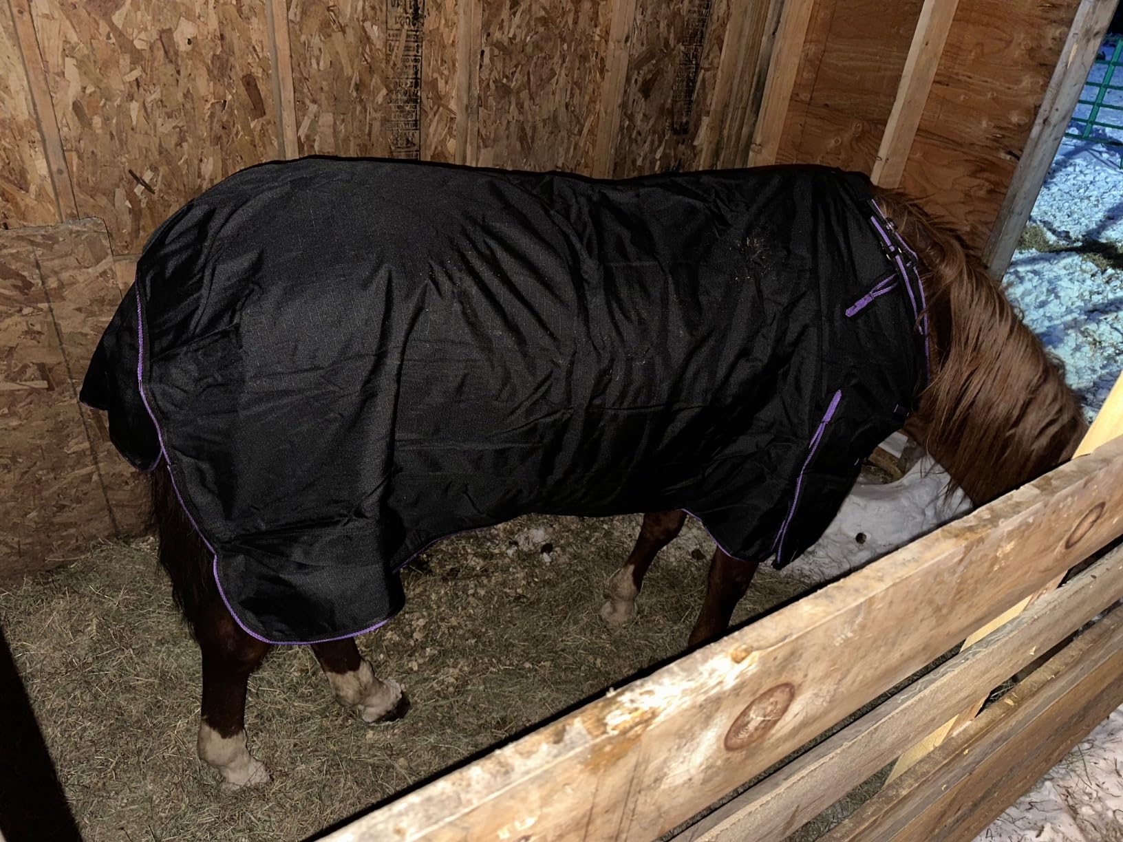 Challenger 1200D Horse Turnout Waterproof Heavy Weight Winter Blanket 5B105 customer photo 1